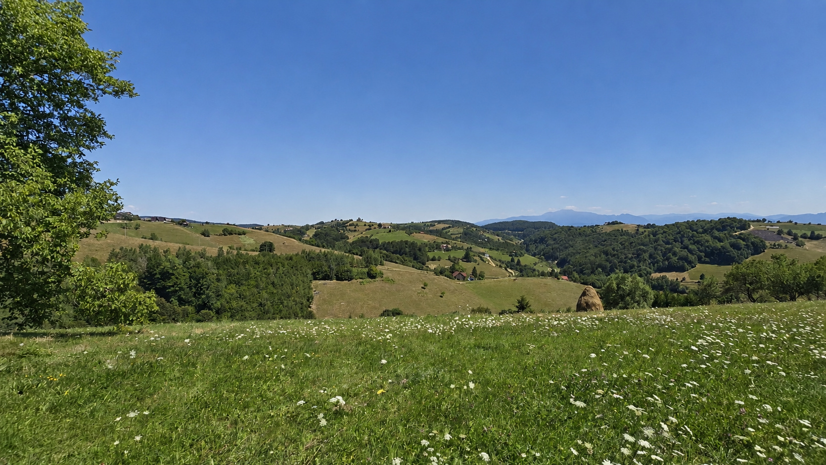 Teren de vânzare în BV Poiana Marului, Sub Masa Mare Nr. fn ([object Object])