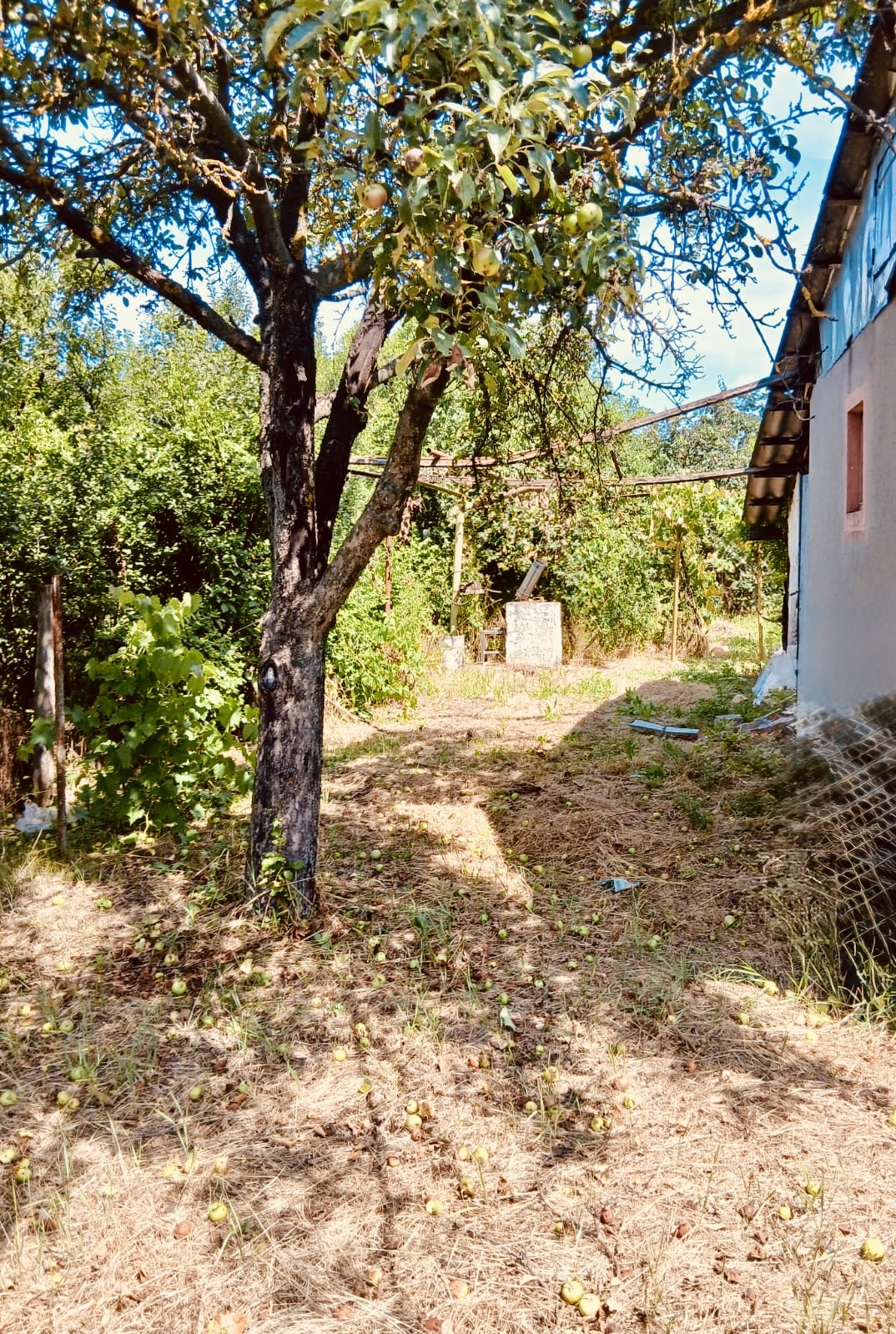 Casă Ungheni | Teren 498 mp | Zonă liniștită