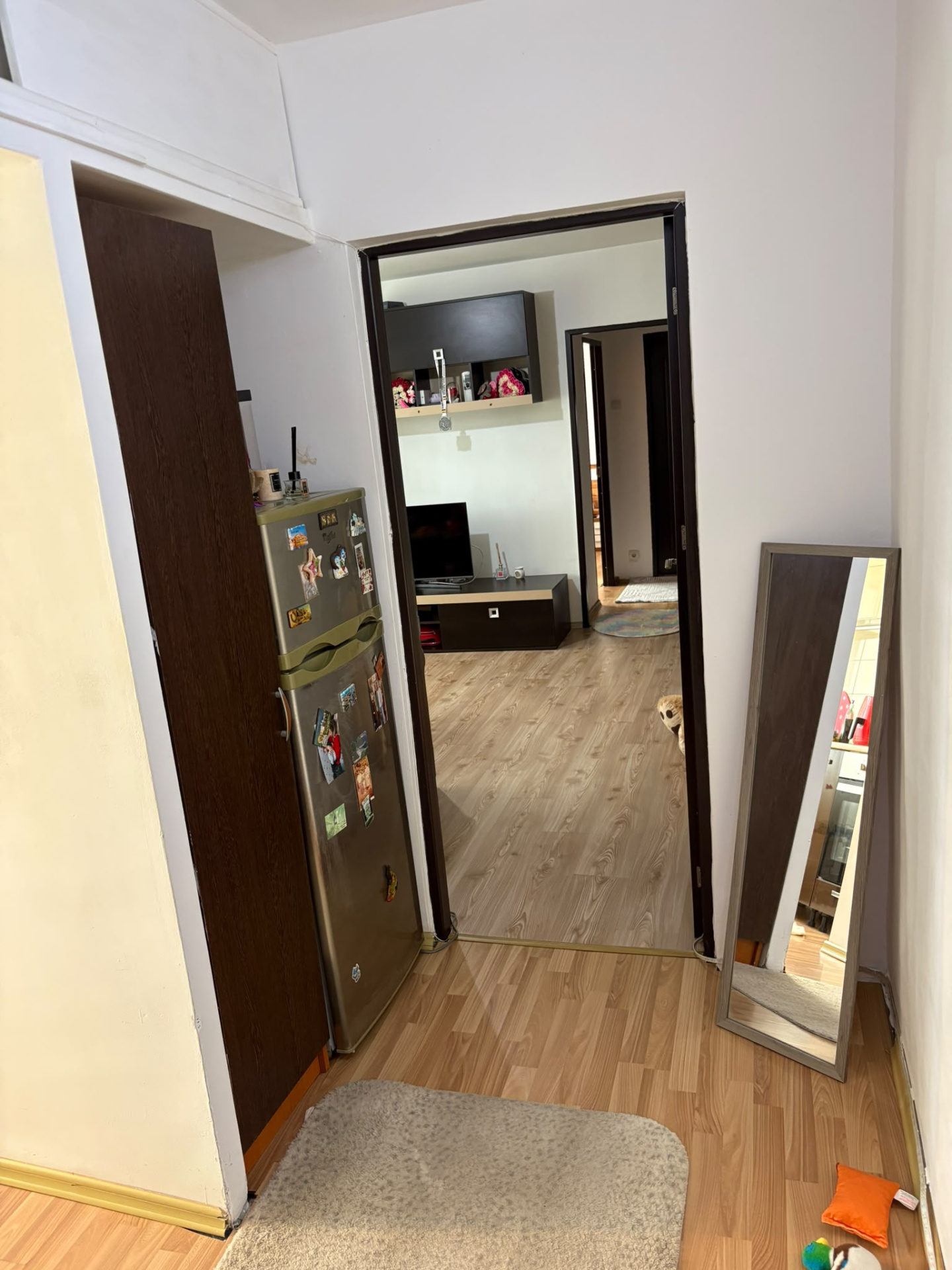 APARTAMENT 2 CAMERE COSTESTI