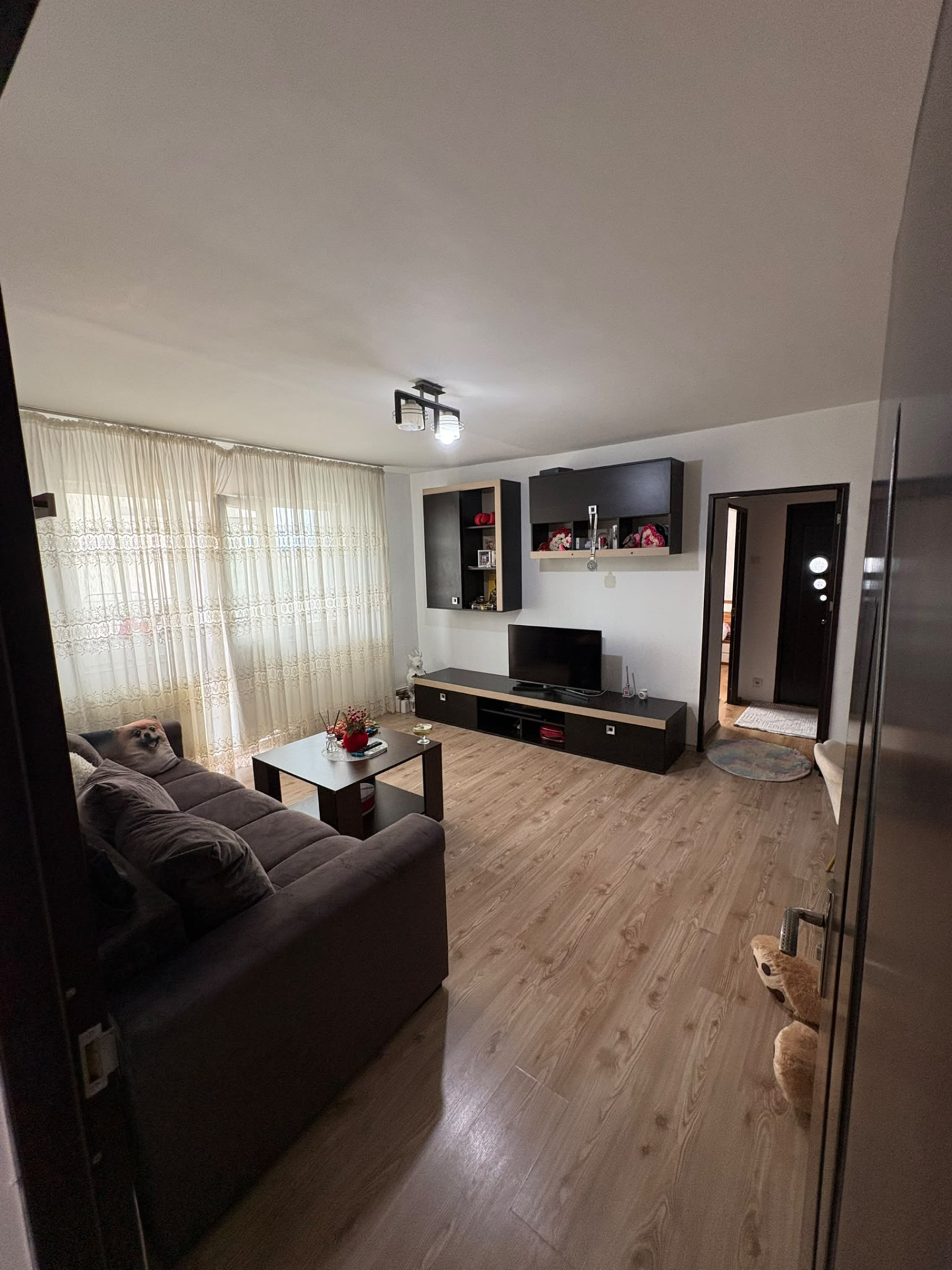 APARTAMENT 2 CAMERE COSTESTI