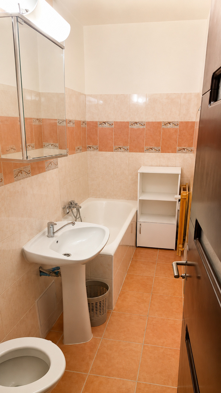 Apartament 1 camera | Manastur