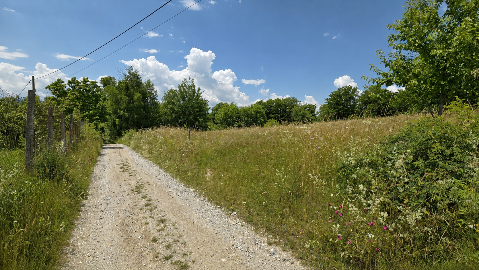 Teren de vânzare în BV Poiana Marului, Sub Masa Mare Nr. fn ([object Object])