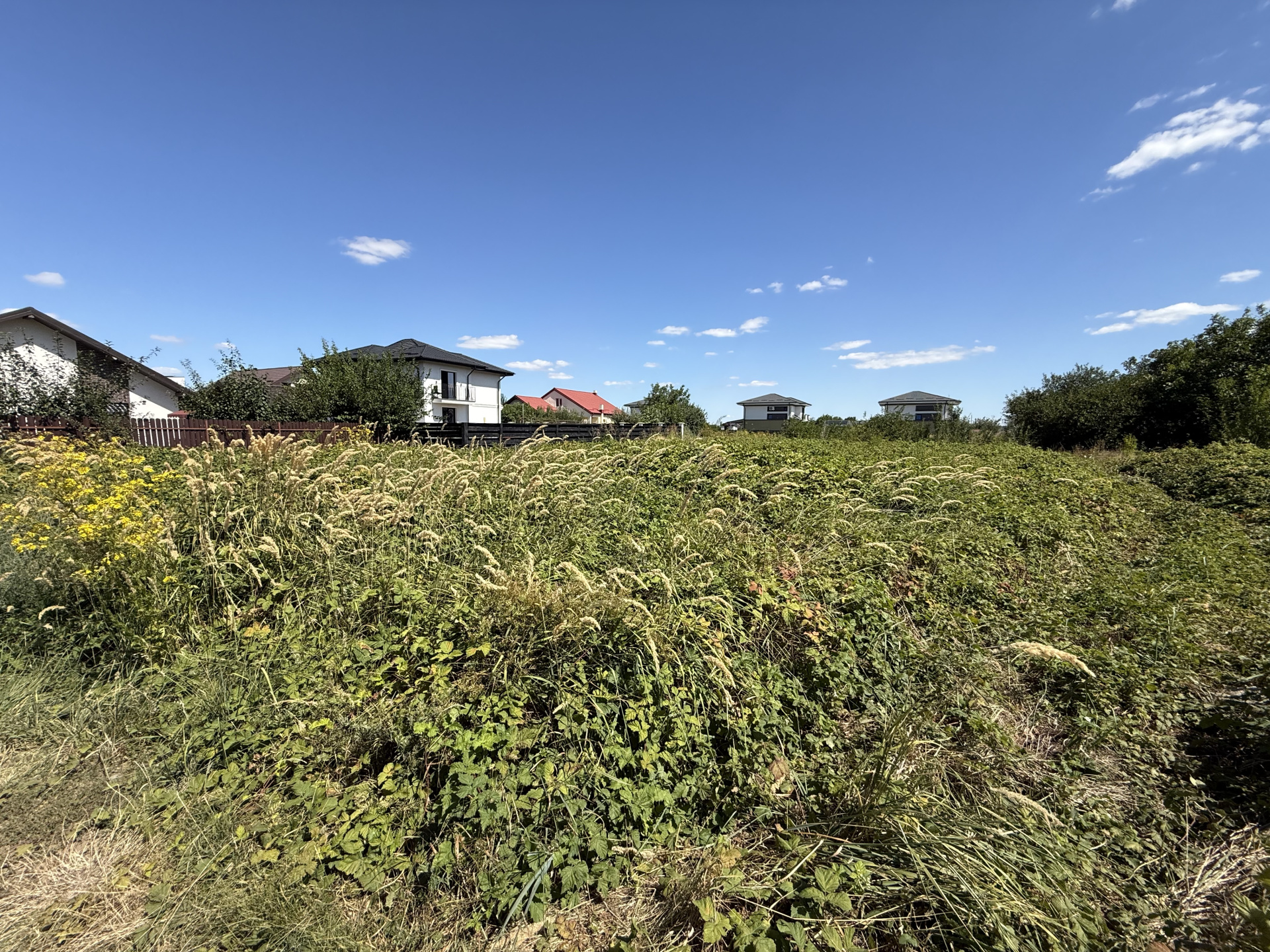 Teren intravilan de vânzare – Iași, Vorovești | 981 mp | Deschidere 50 ml