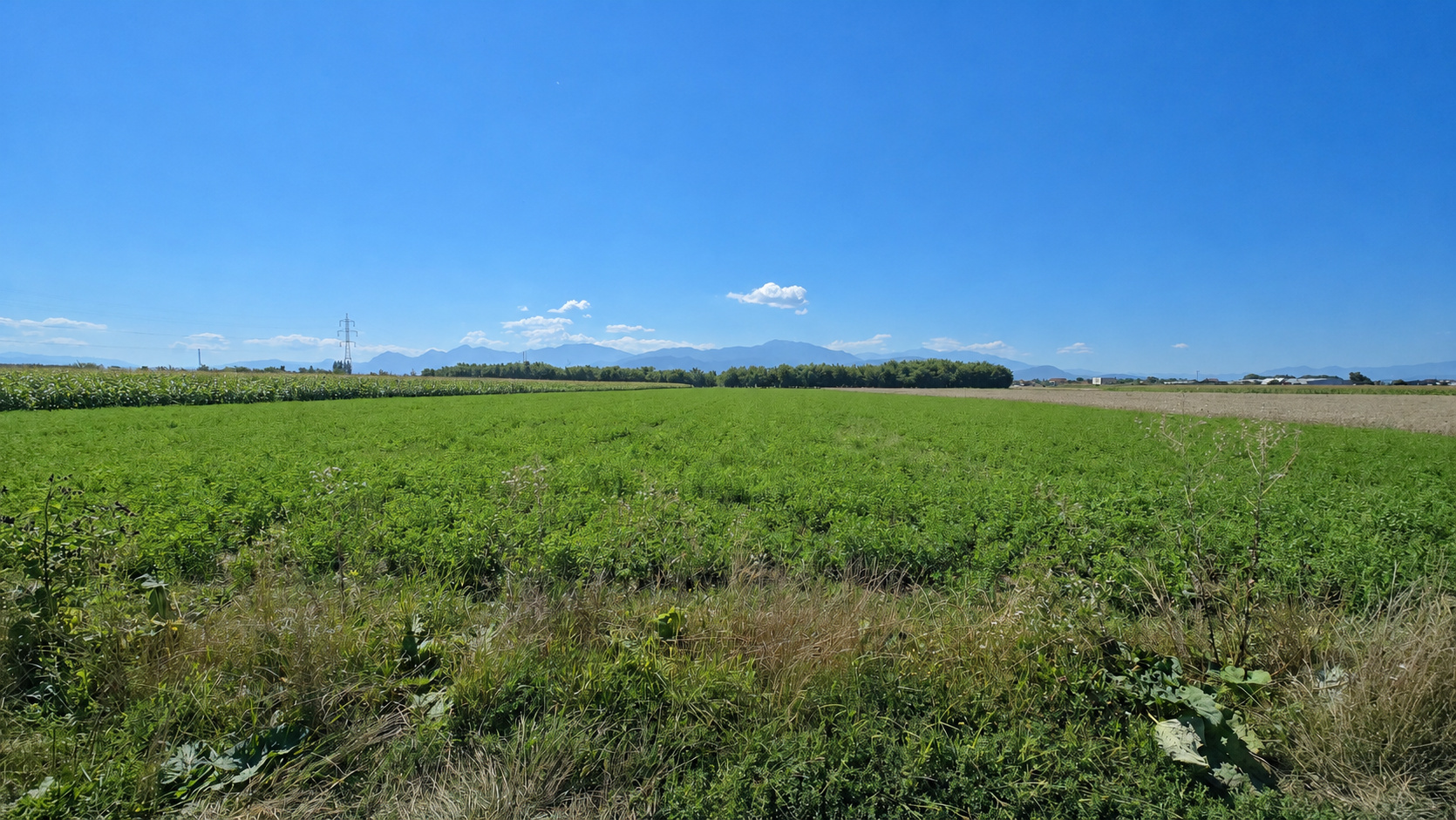 Land for sale in BV Brasov, Stupinei Nr. fn ([object Object])