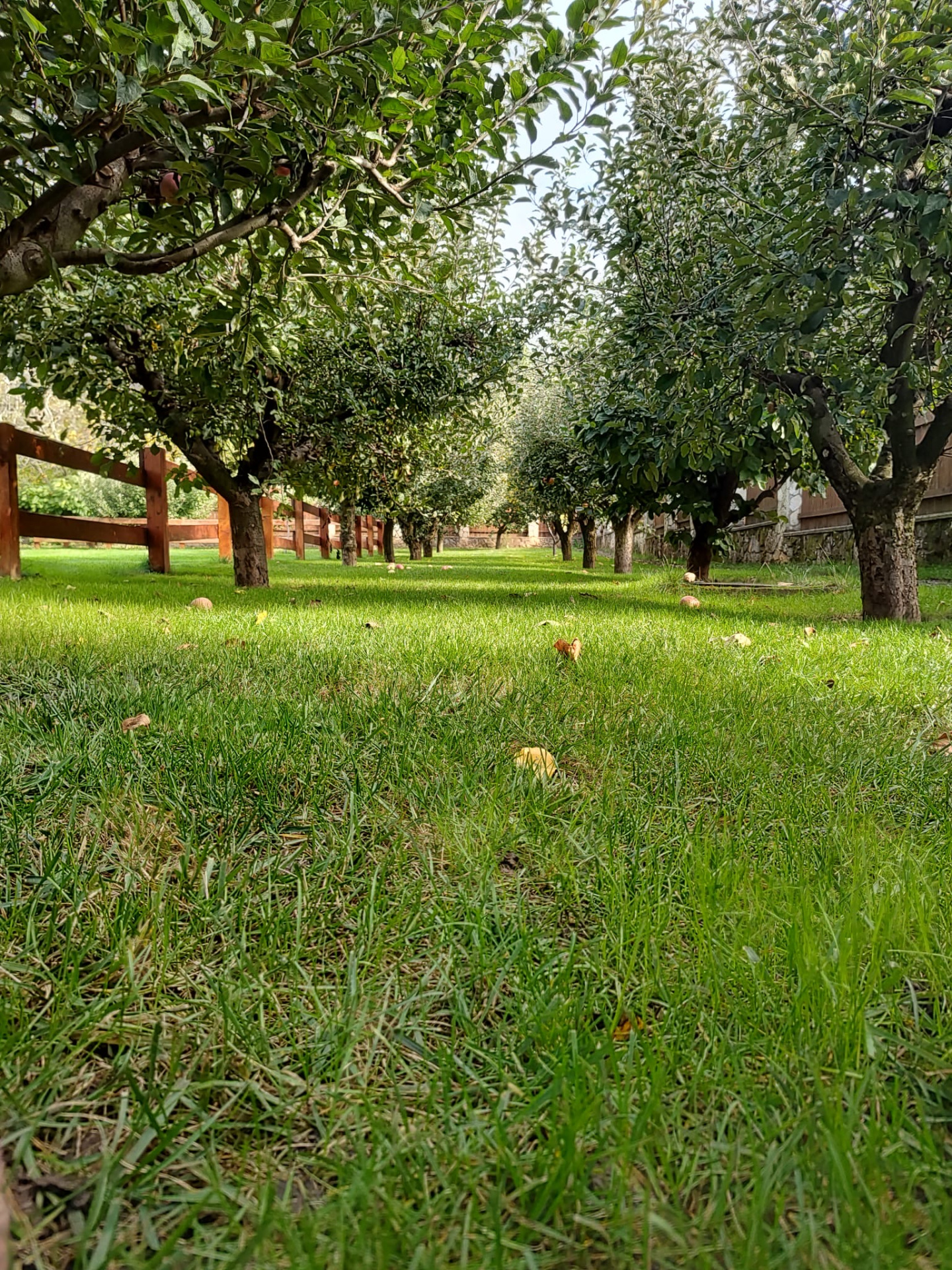 House for sale in IS Breazu, 450 m²