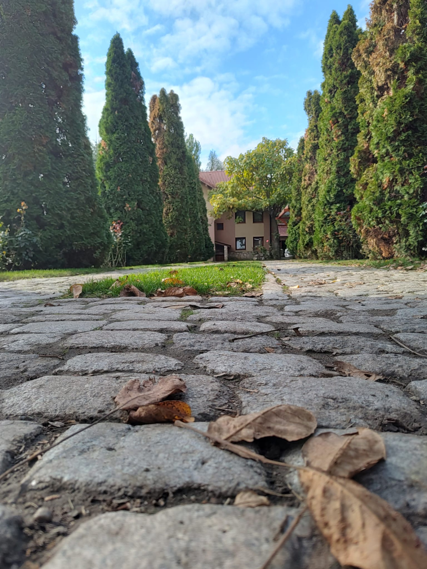 House for sale in IS Breazu, 450 m²