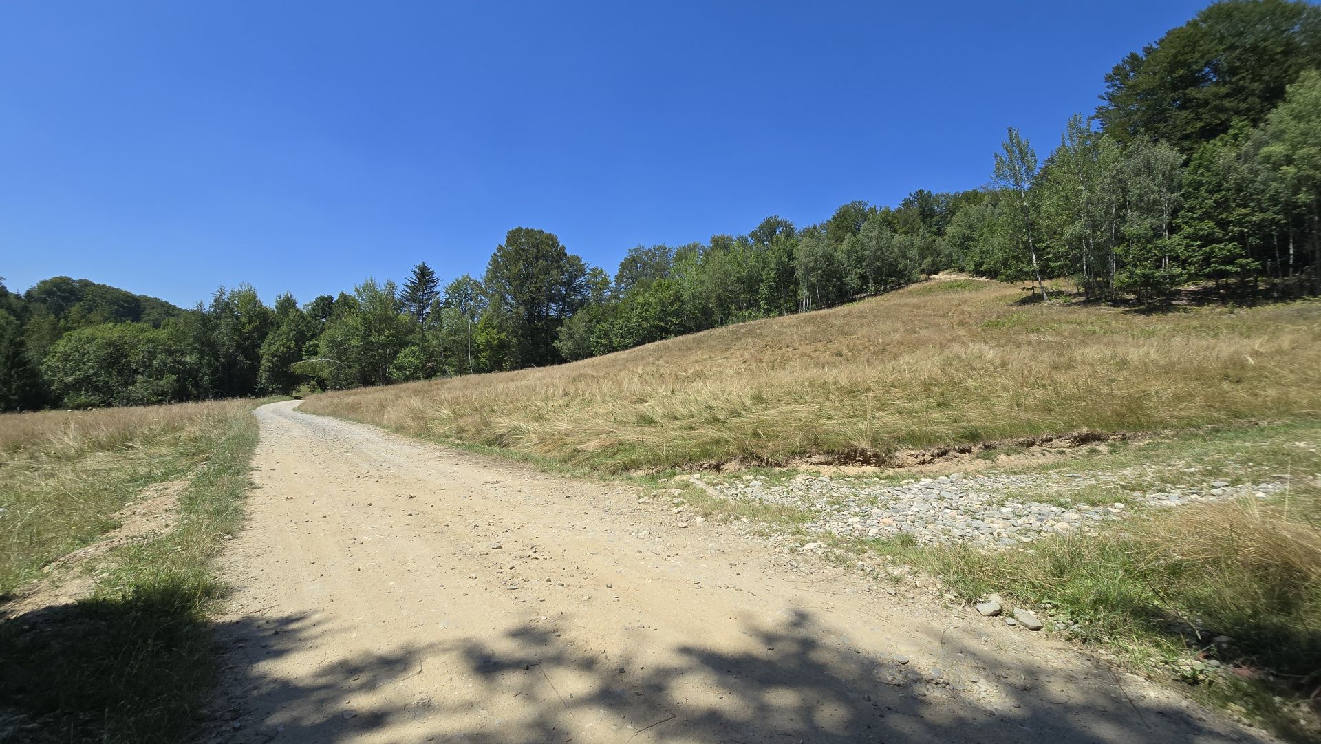 36.200 mp teren | Poiana Mărului | Platou | Apă și curent | 1 km de Sergiana