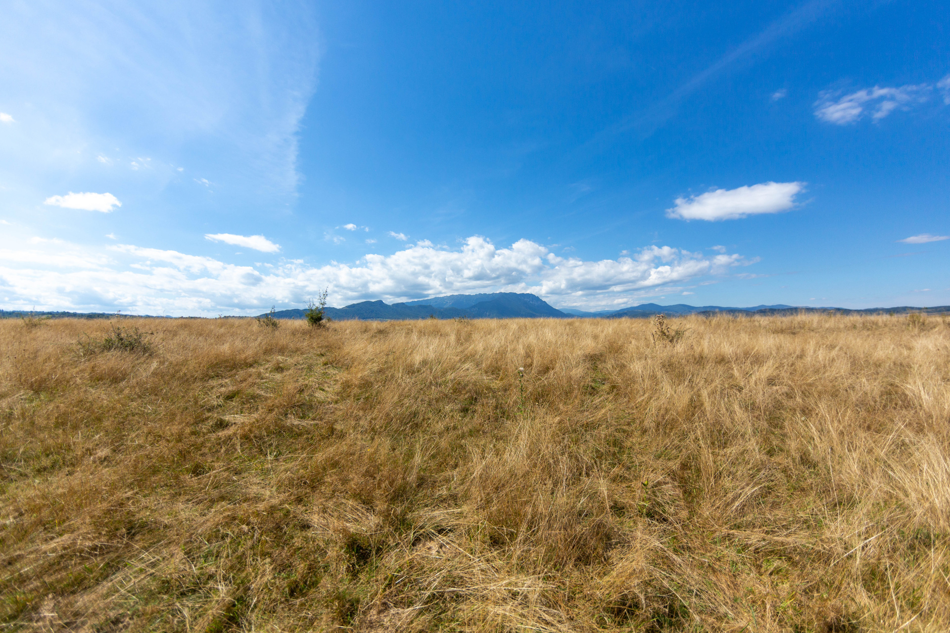 Land de vânzare în BV Rasnov