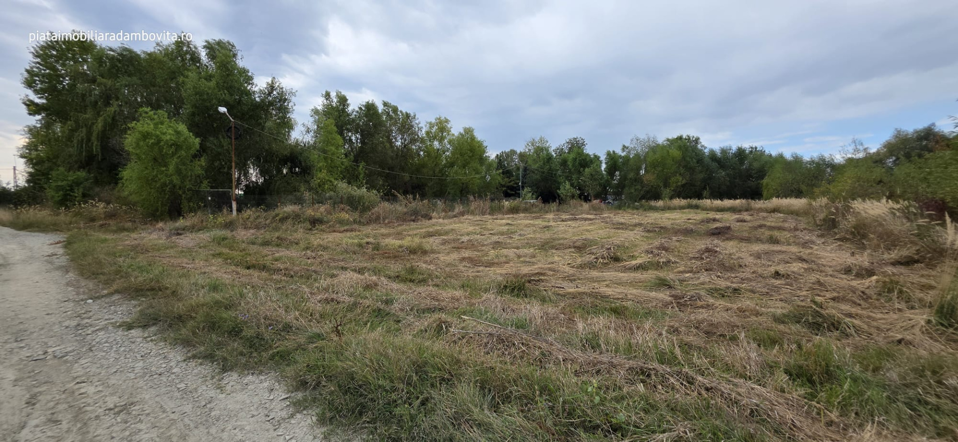 Land de vânzare în DB Priseaca