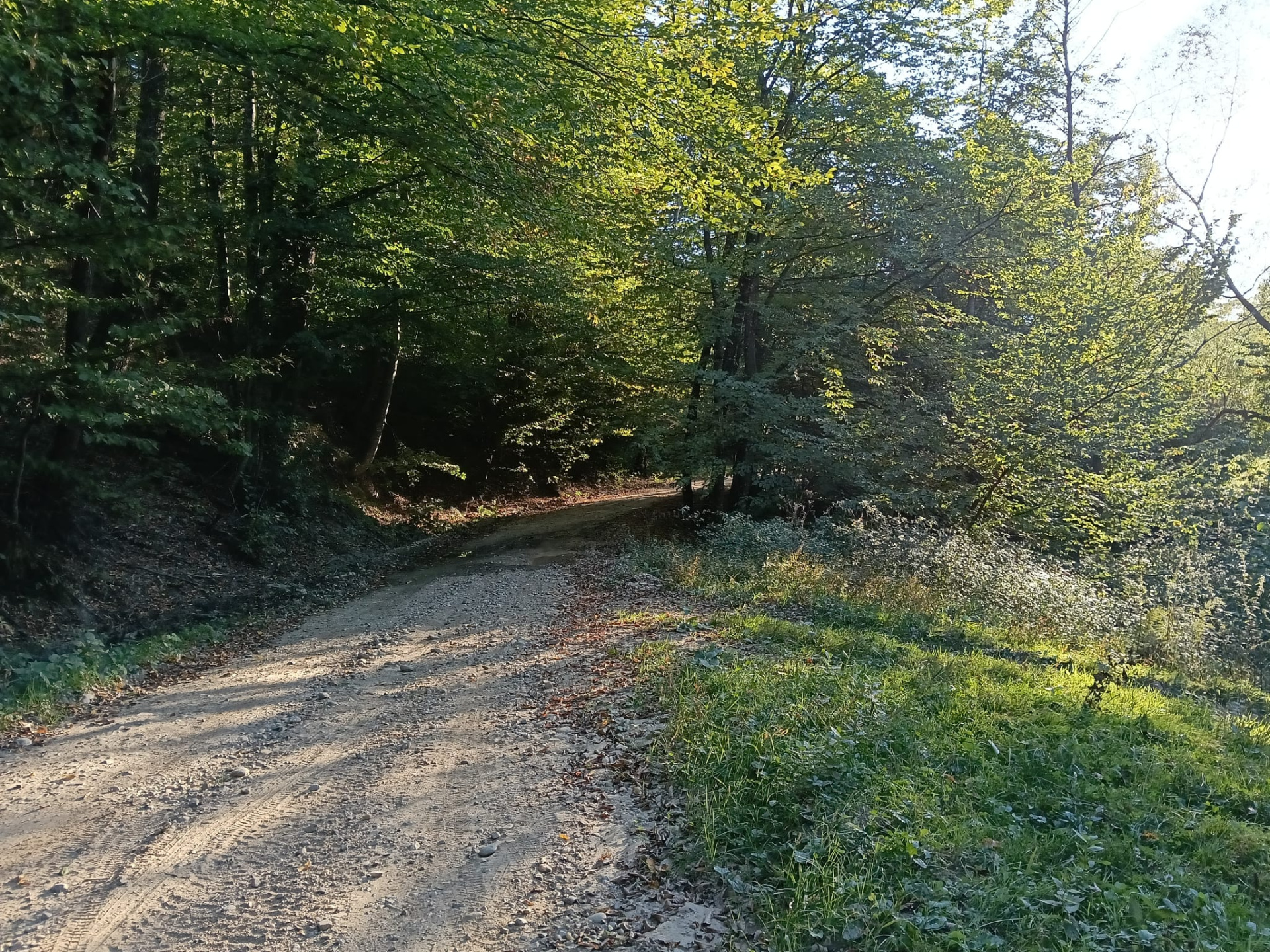 Teren de vânzare în AG Vulturesti