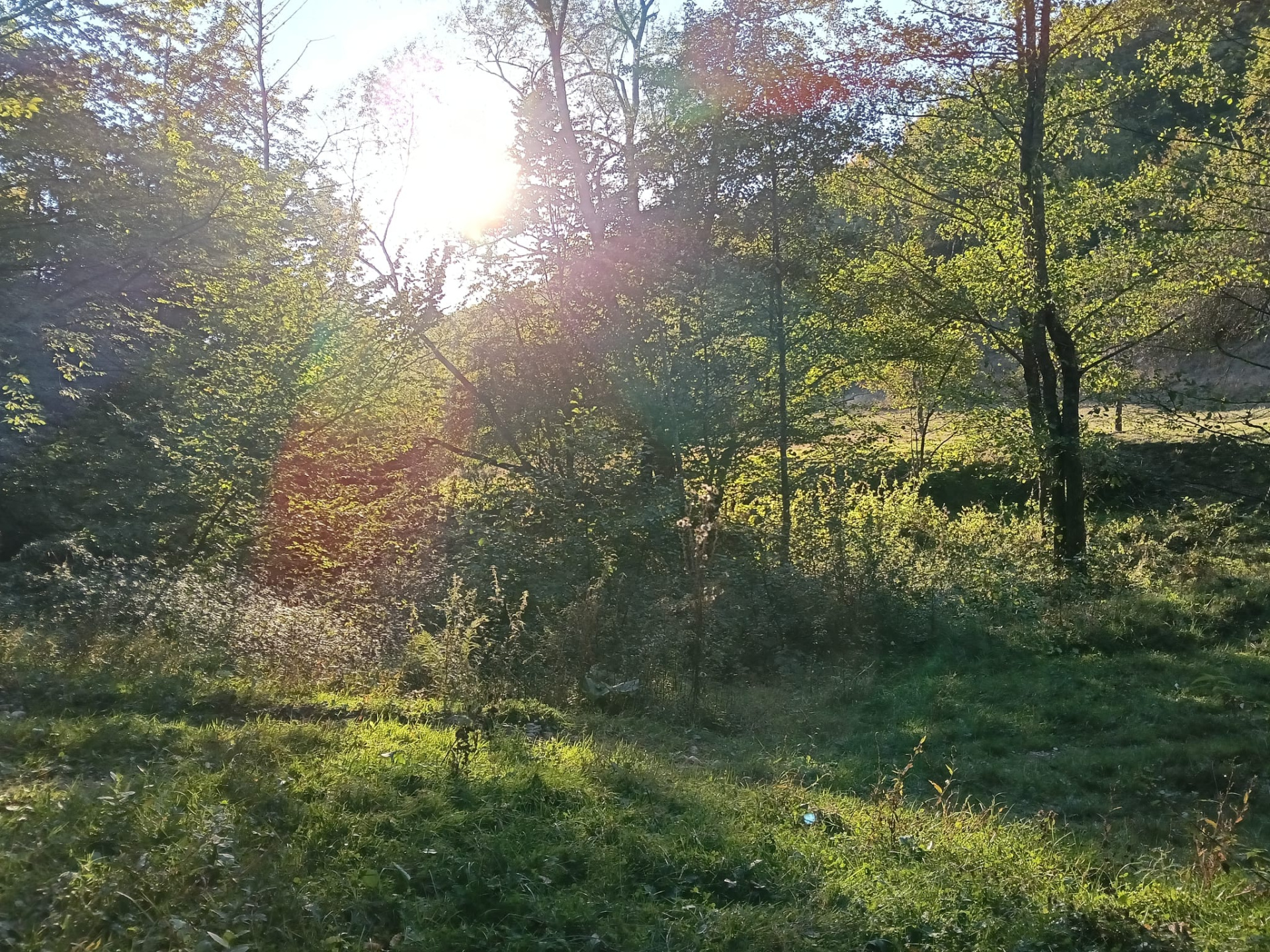 Teren de vânzare în AG Vulturesti