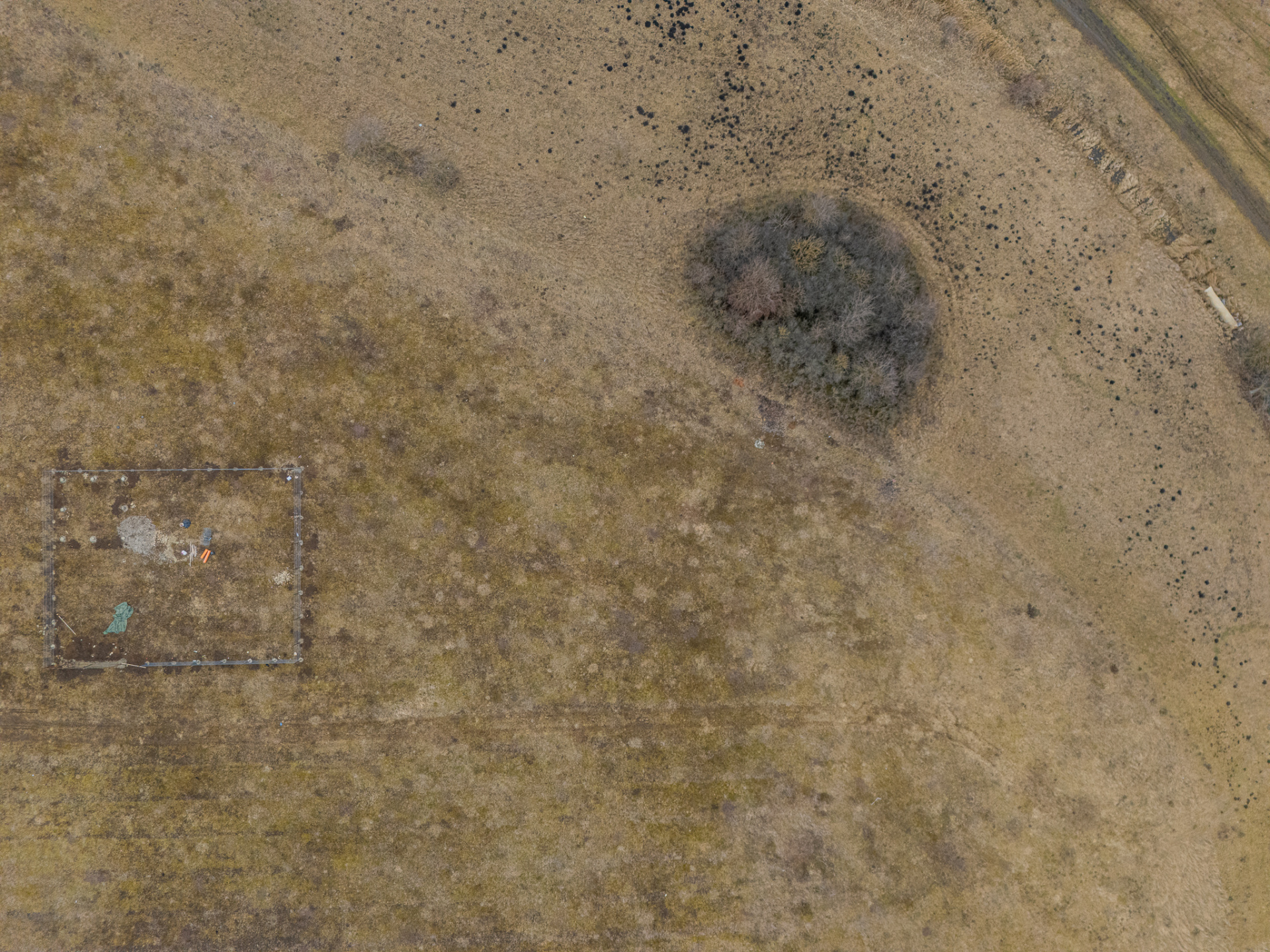 Land for sale in BV Sanpetru, Piatra Mare Nr. 1 ([object Object])