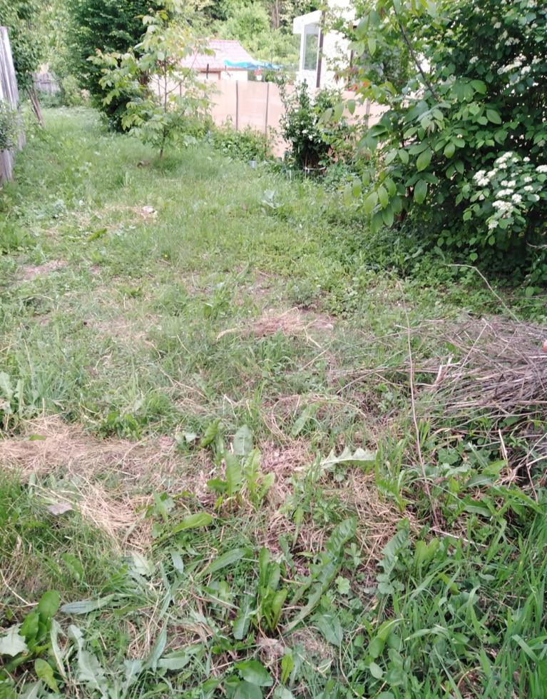Teren 2500 mp intravilan Smeura – cadru natural, pârâu pe proprietate, utilități