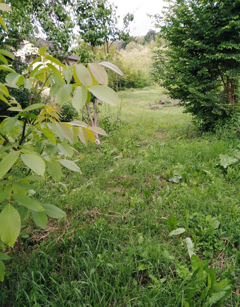 Teren 2500 mp intravilan Smeura – cadru natural, pârâu pe proprietate, utilități