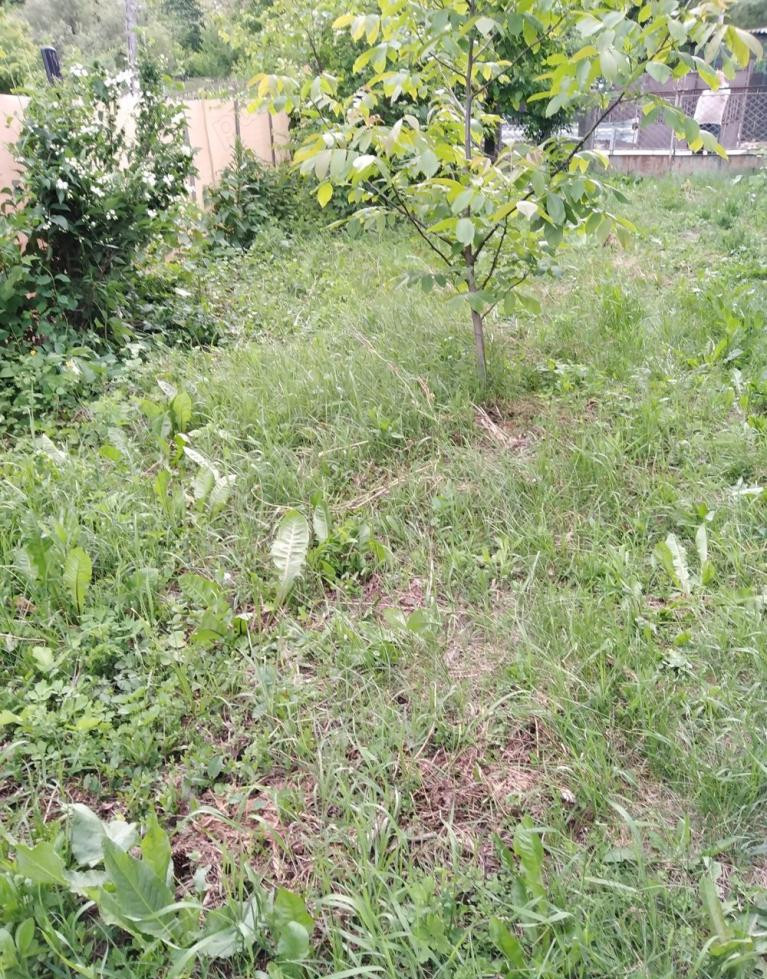 Teren 2500 mp intravilan Smeura – cadru natural, pârâu pe proprietate, utilități