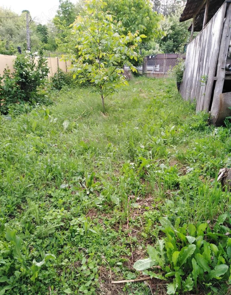 Teren 2500 mp intravilan Smeura – cadru natural, pârâu pe proprietate, utilități