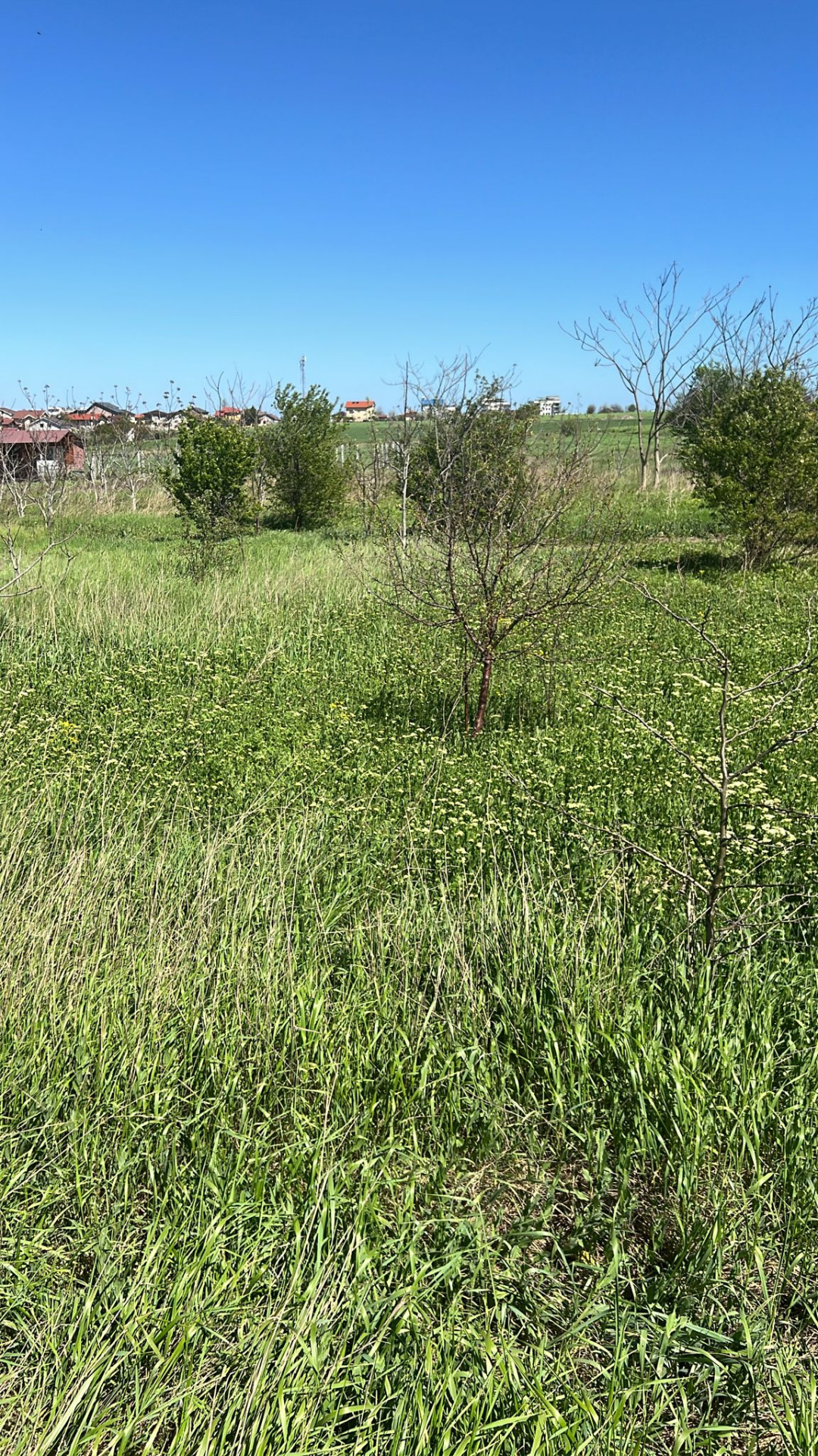 De vânzare teren extravilan, 400 mp, Loc. Techirghiol, Jud. Constanța