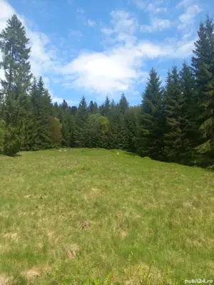 De vânzare teren intravilan, 4000 mp, în Com. Dorna Arini, Jud. Suceava