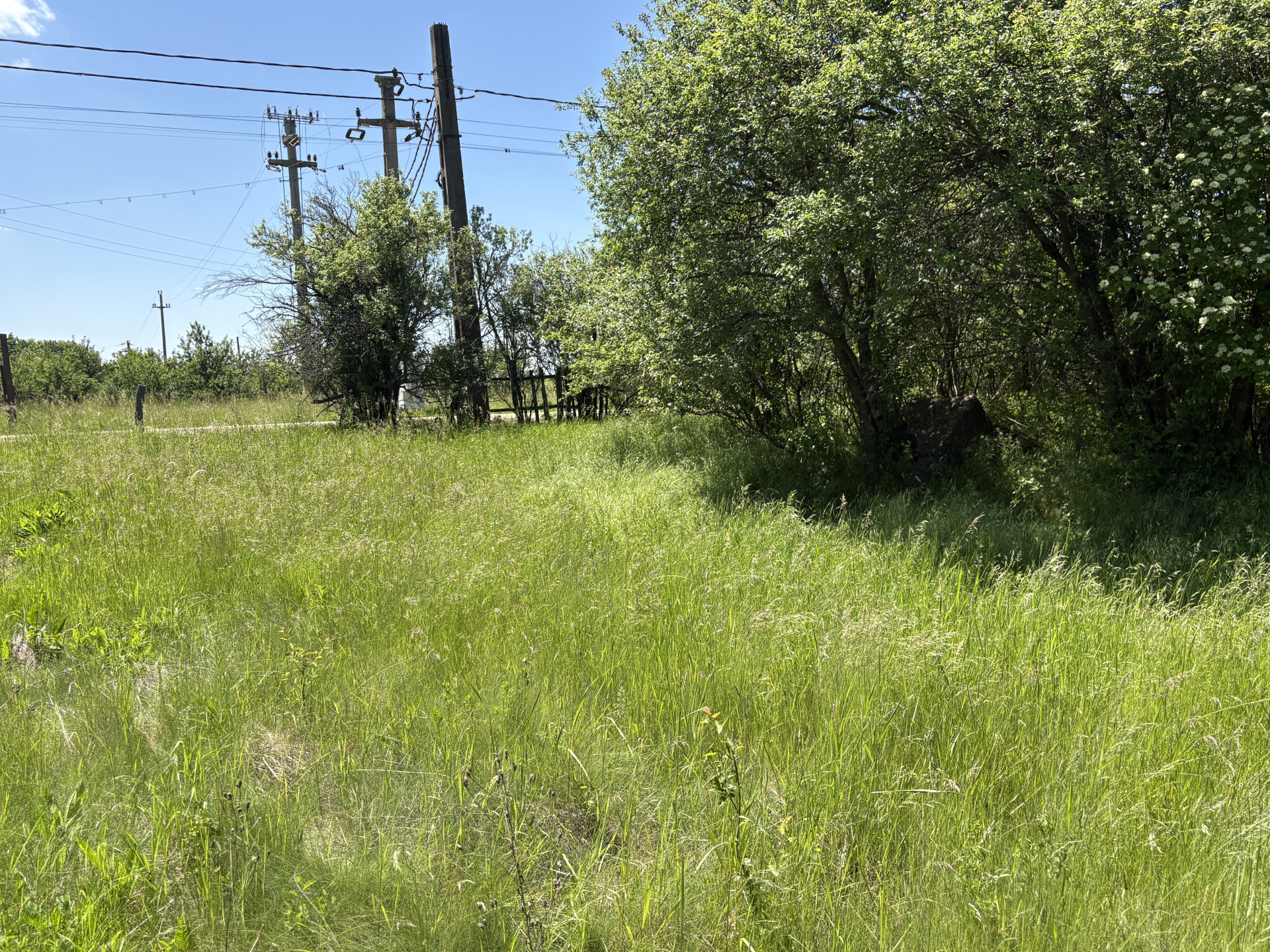 Teren 2.200 mp lângă pădure, la 11 km de Pitești – ideal pentru casă și relaxare