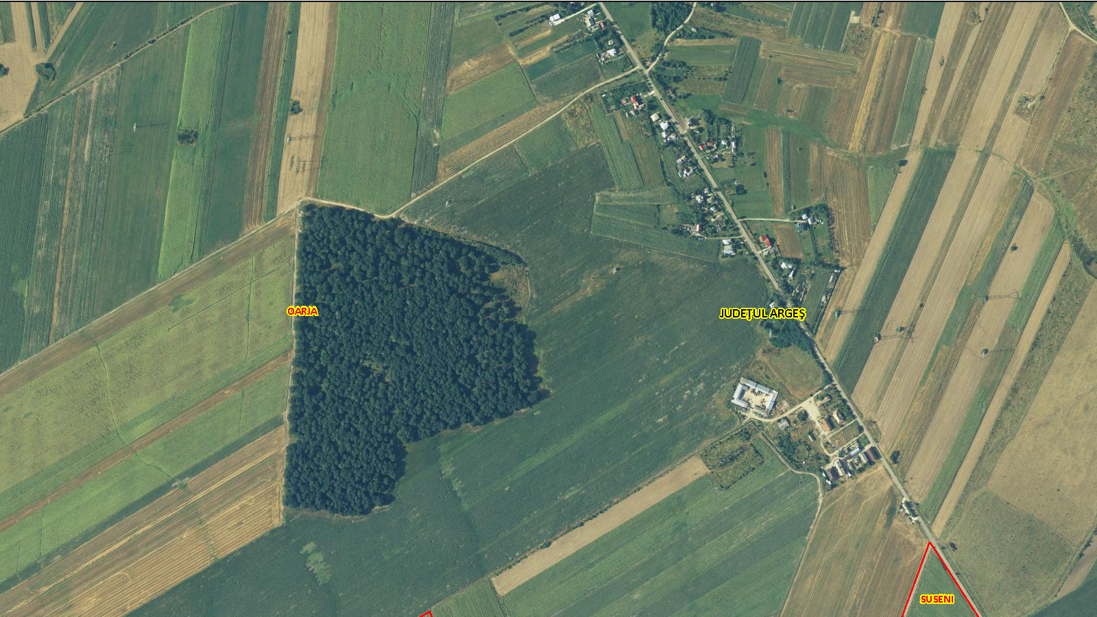 20 Ha Padure stejar la 10 km de Pitești