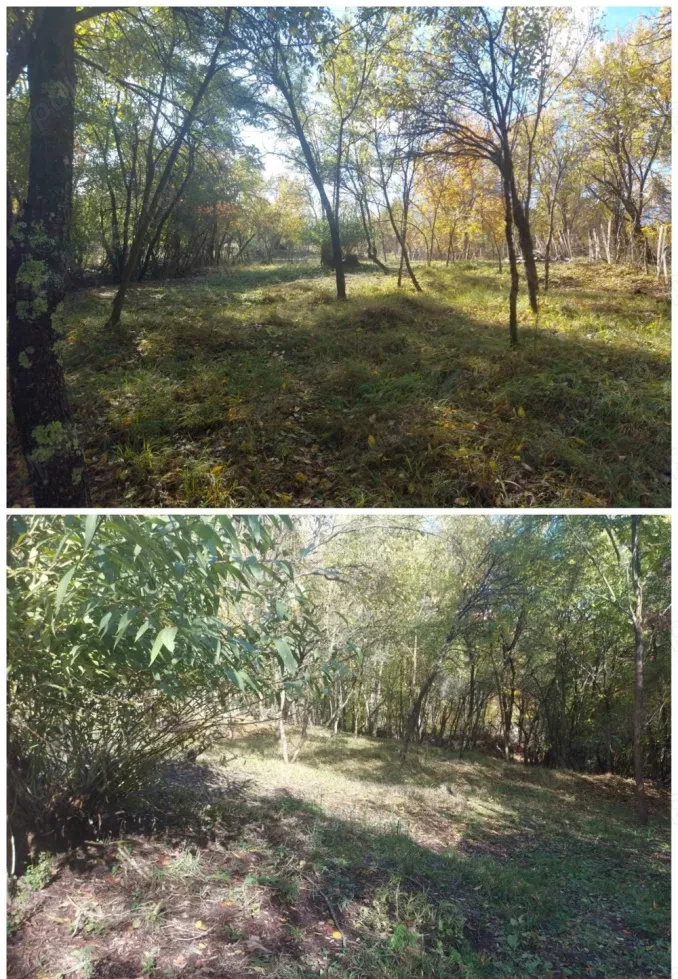 Teren de vânzare în AG Berevoesti