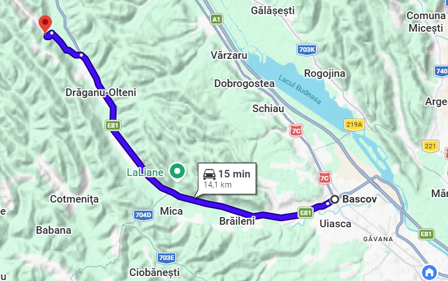 Teren intravilan 3052 mp | Băcești, Drăganu | asfalt | utilități la poartă