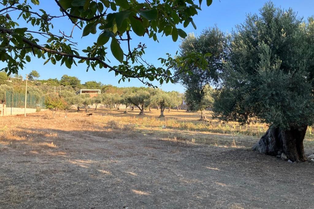 Mixed-Use Land for sale in İzmir, Yelaltı, İzmir, 10320 m²