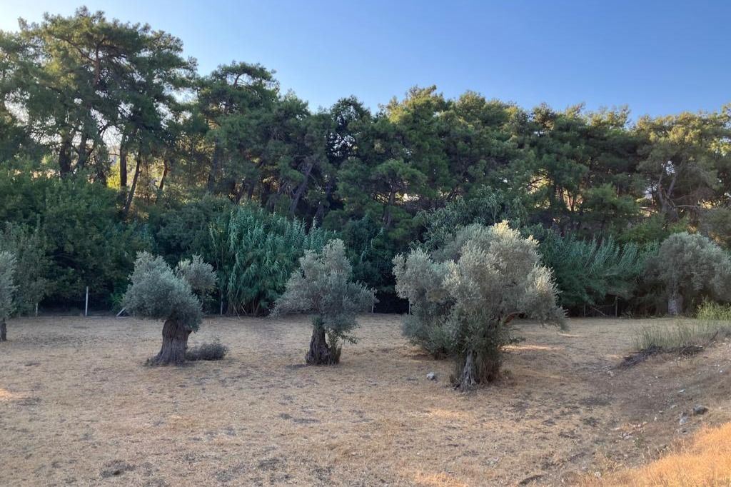 Mixed-Use Land for sale in İzmir, Yelaltı, İzmir, 10320 m²