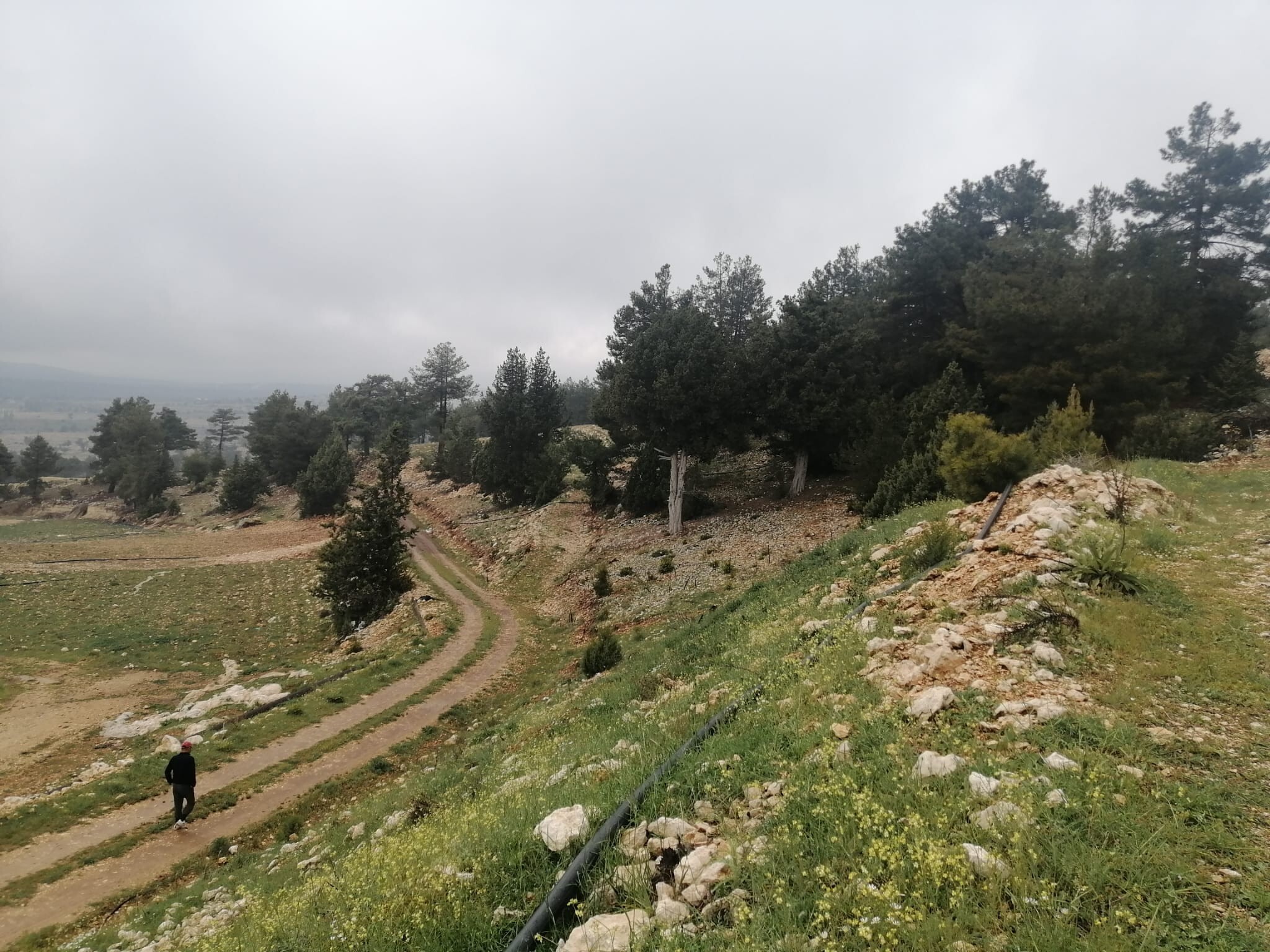 Tarla / İmarsız for sale in Mersin, Çerçili, Mersin, 1163 m²