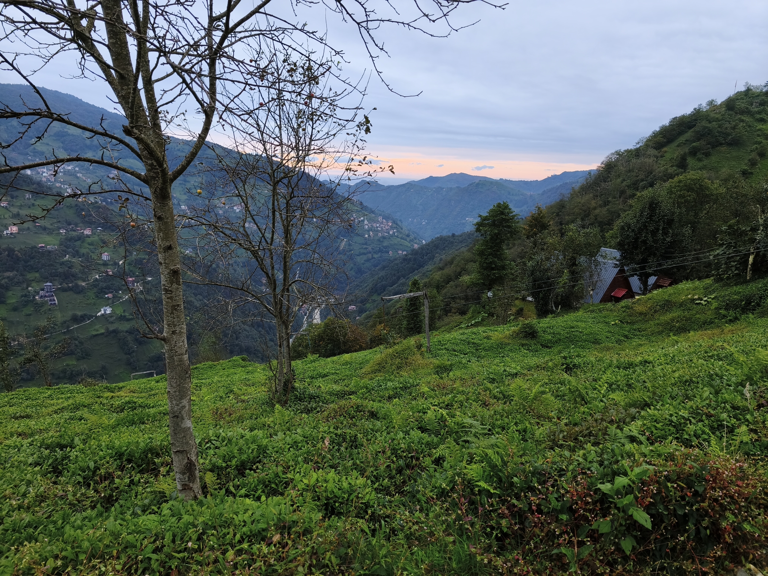 Tourism Zone Development Rights for sale in Rize, Çayırdüzü, Rize, 788 m²