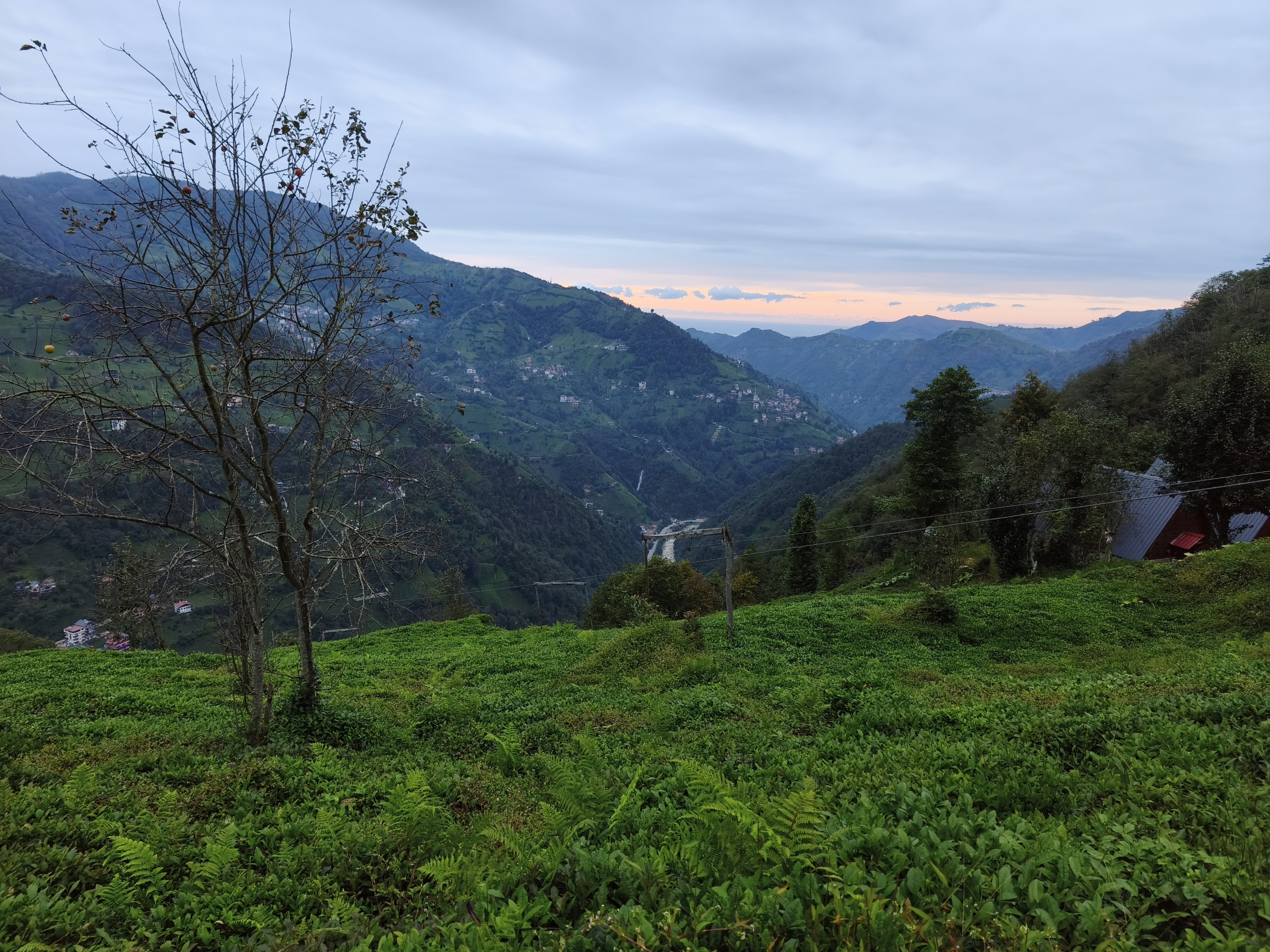 Tourism Zone Development Rights for sale in Rize, Çayırdüzü, Rize, 788 m²