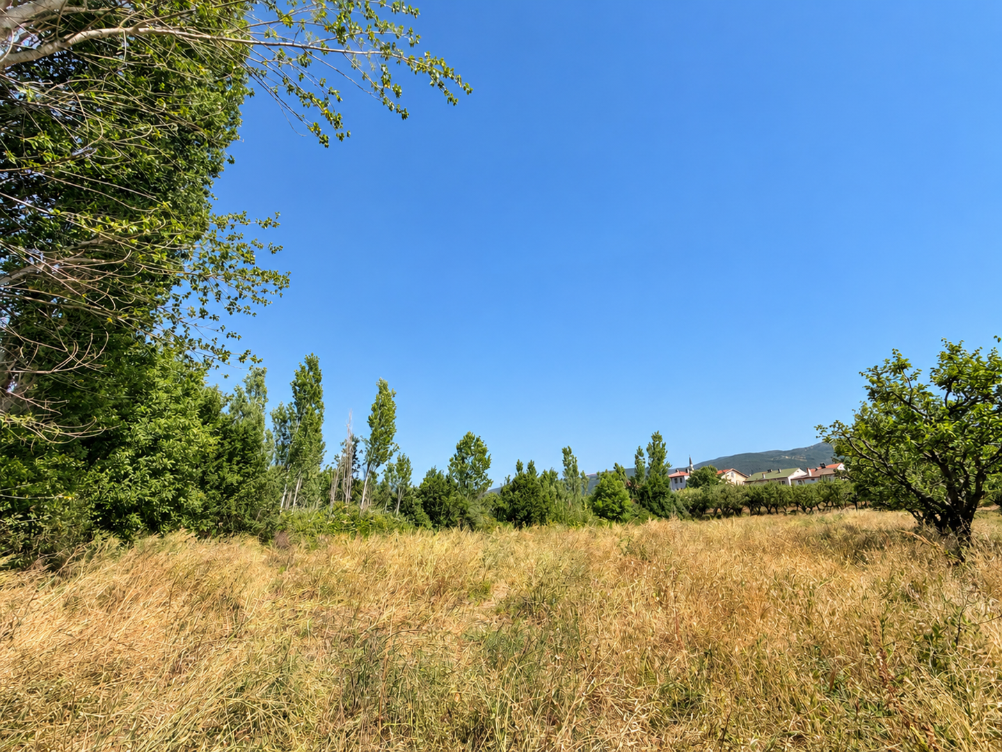 Agricultural Land Zoned for Development for sale in Sakarya, Yörükler, Sakarya, 1464 m²
