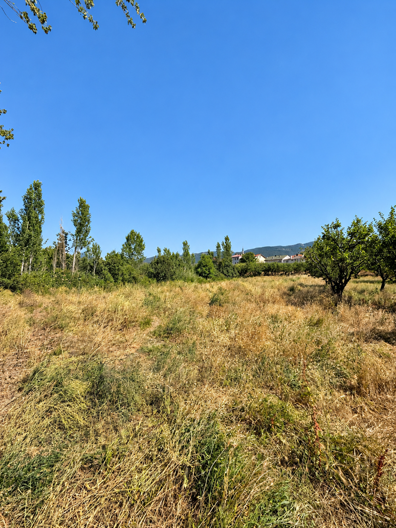 Agricultural Land Zoned for Development for sale in Sakarya, Yörükler, Sakarya, 1464 m²