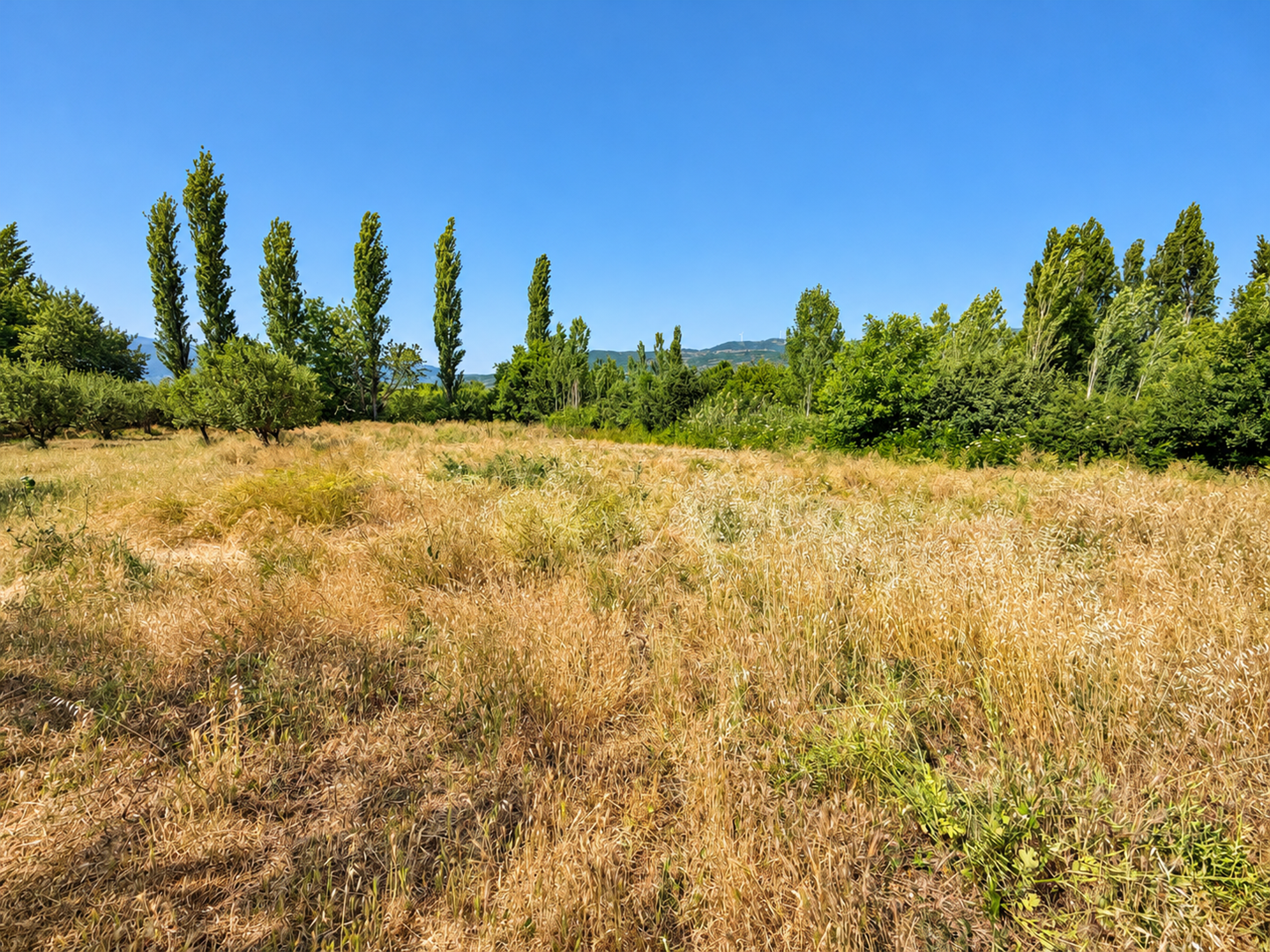 Agricultural Land Zoned for Development for sale in Sakarya, Yörükler, Sakarya, 1464 m²