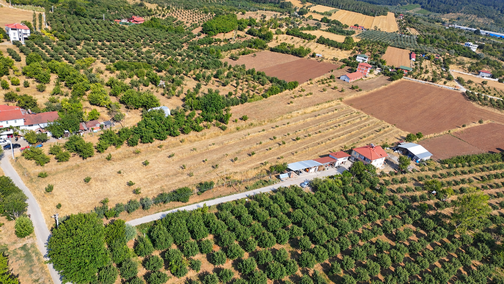 Sakarya satılık Tarım Alanı İmarlı, Hırka, Sakarya, 9032 m²