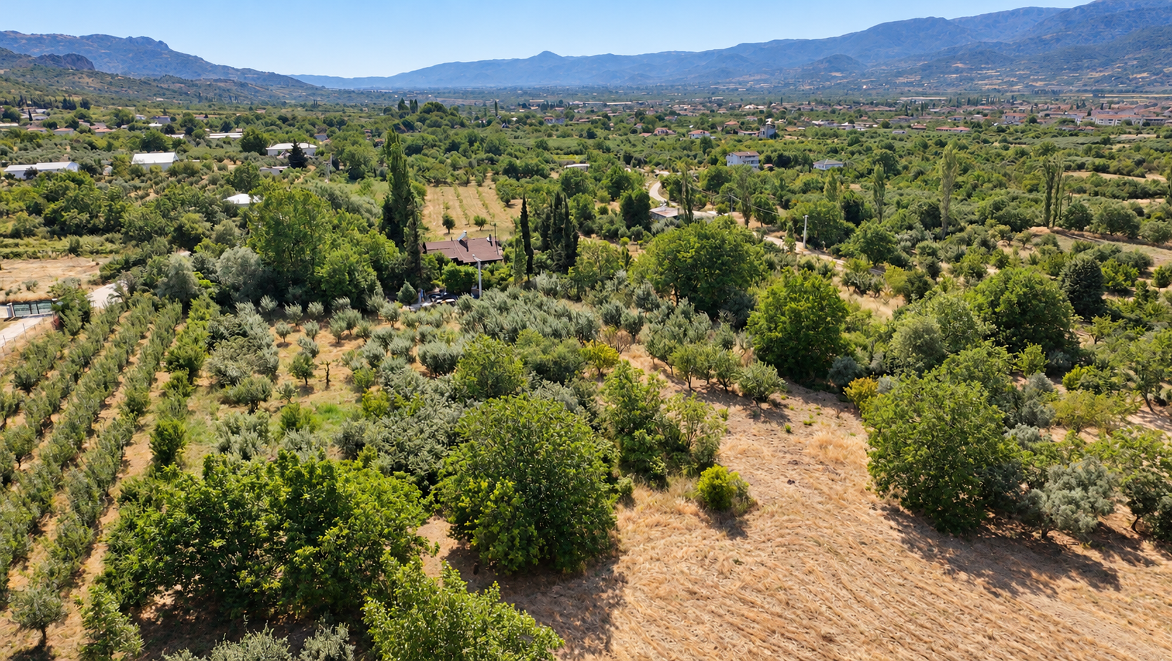 Sakarya satılık Bahçe, Hırka, Sakarya, 710 m²