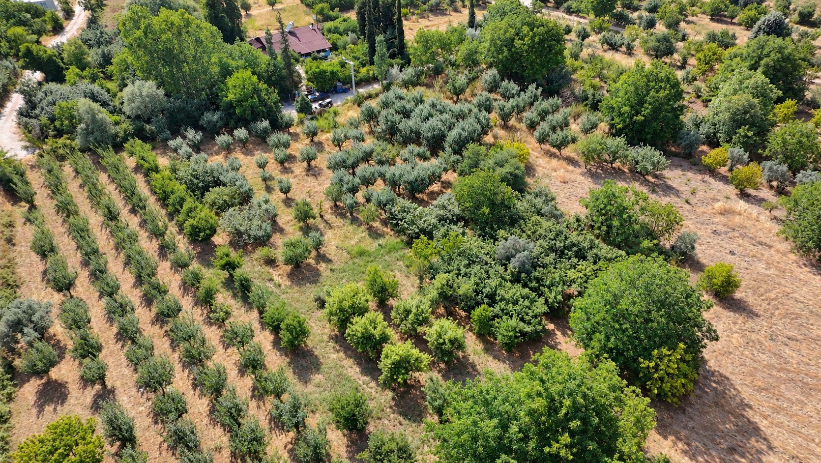 Sakarya satılık Bahçe, Hırka, Sakarya, 710 m²