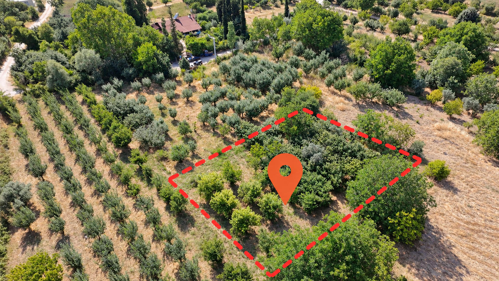 Sakarya satılık Bahçe, Hırka, Sakarya, 710 m²