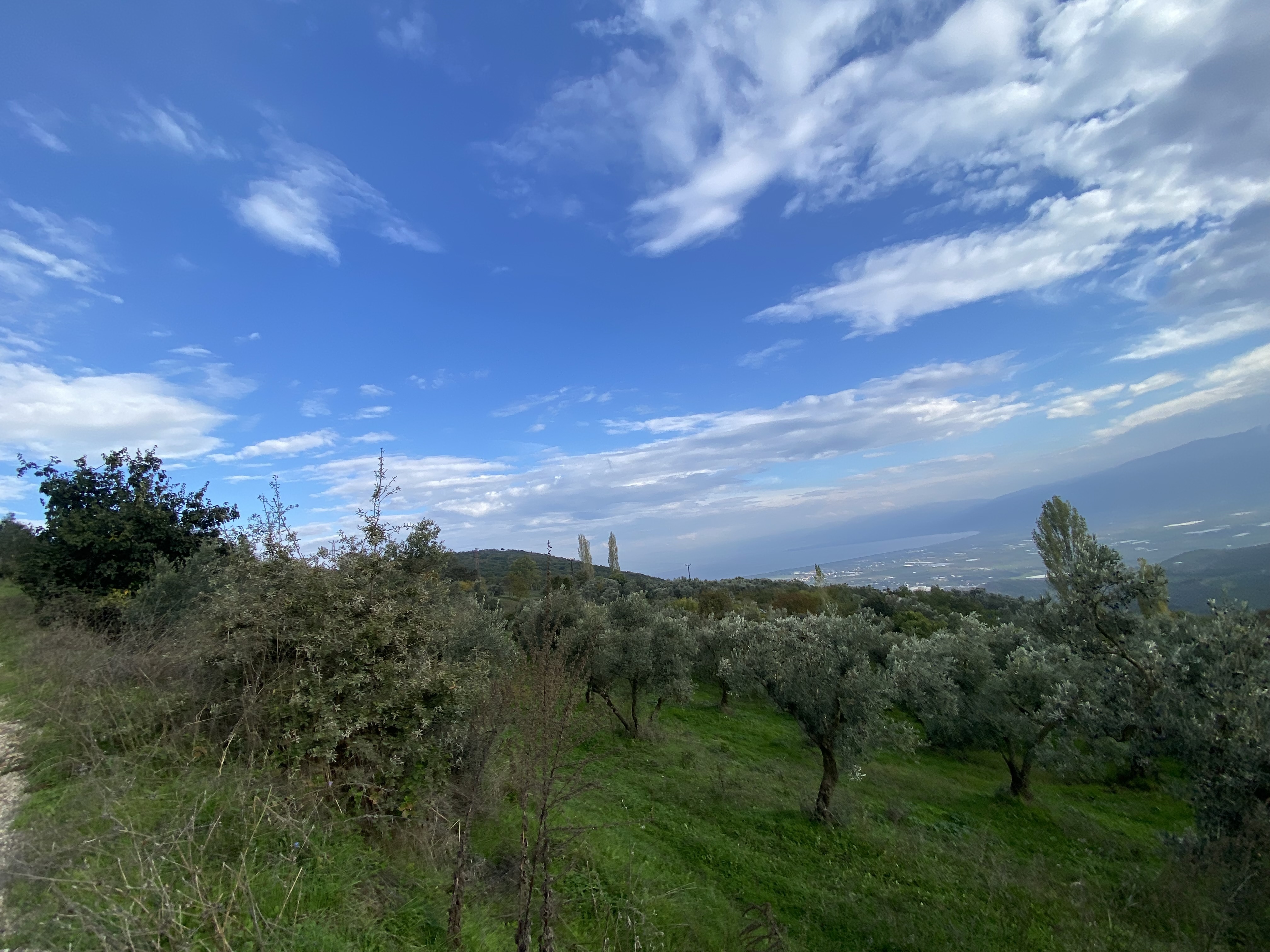 Land / Unzoned for sale in Bursa, Fındıklı, Bursa, 3936 m²