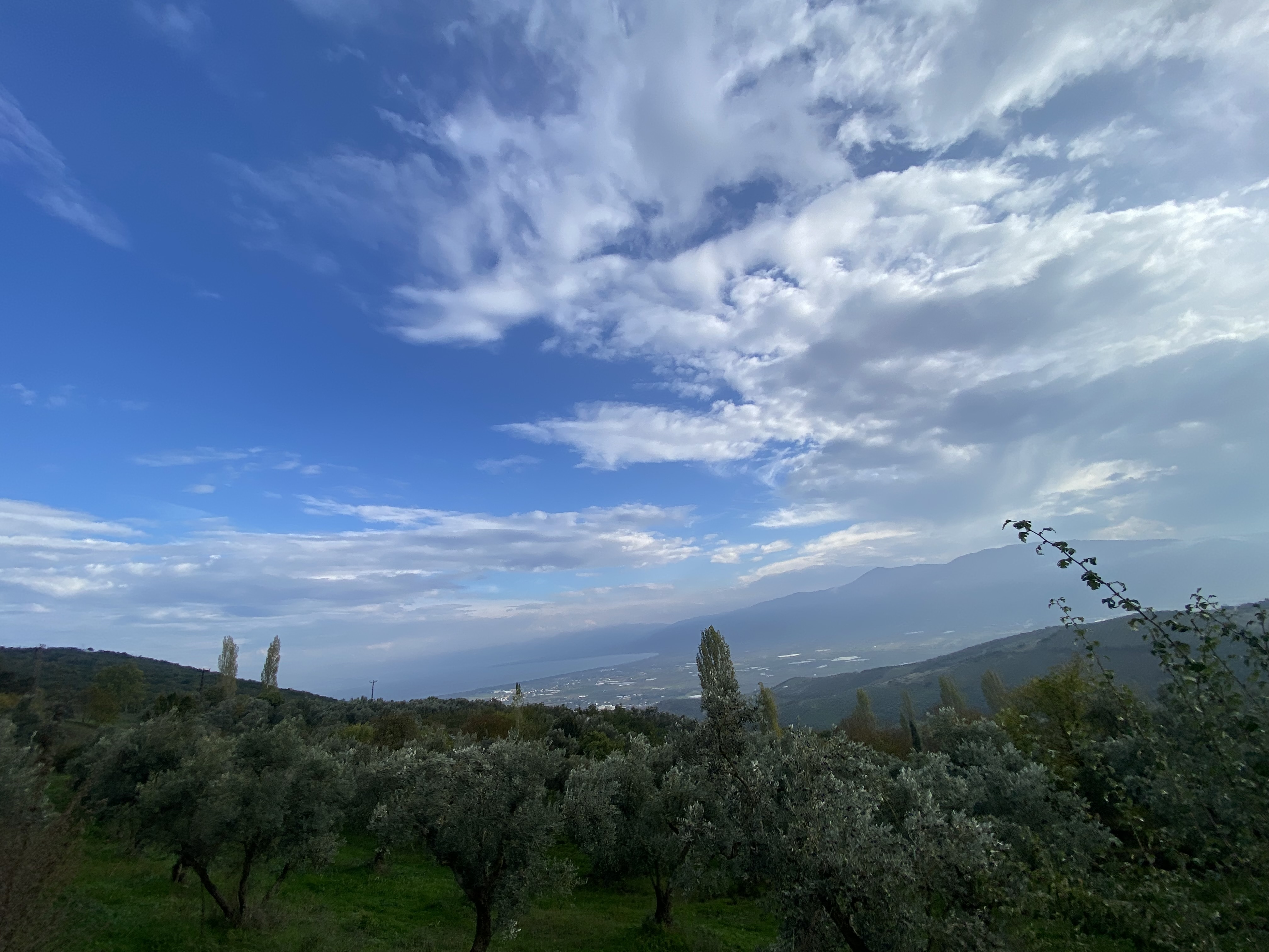 Land / Unzoned for sale in Bursa, Fındıklı, Bursa, 3936 m²