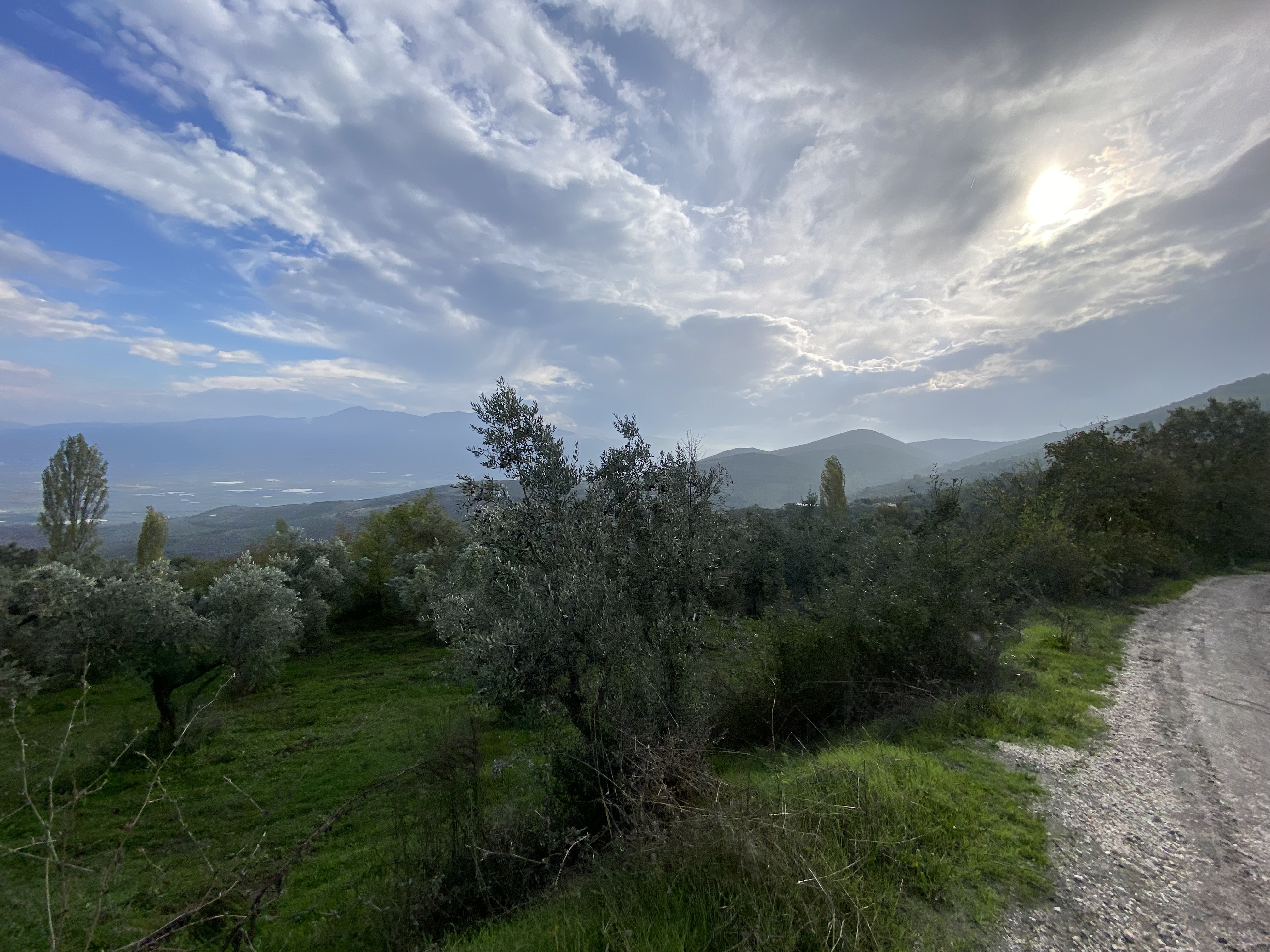 Land / Unzoned for sale in Bursa, Fındıklı, Bursa, 3936 m²