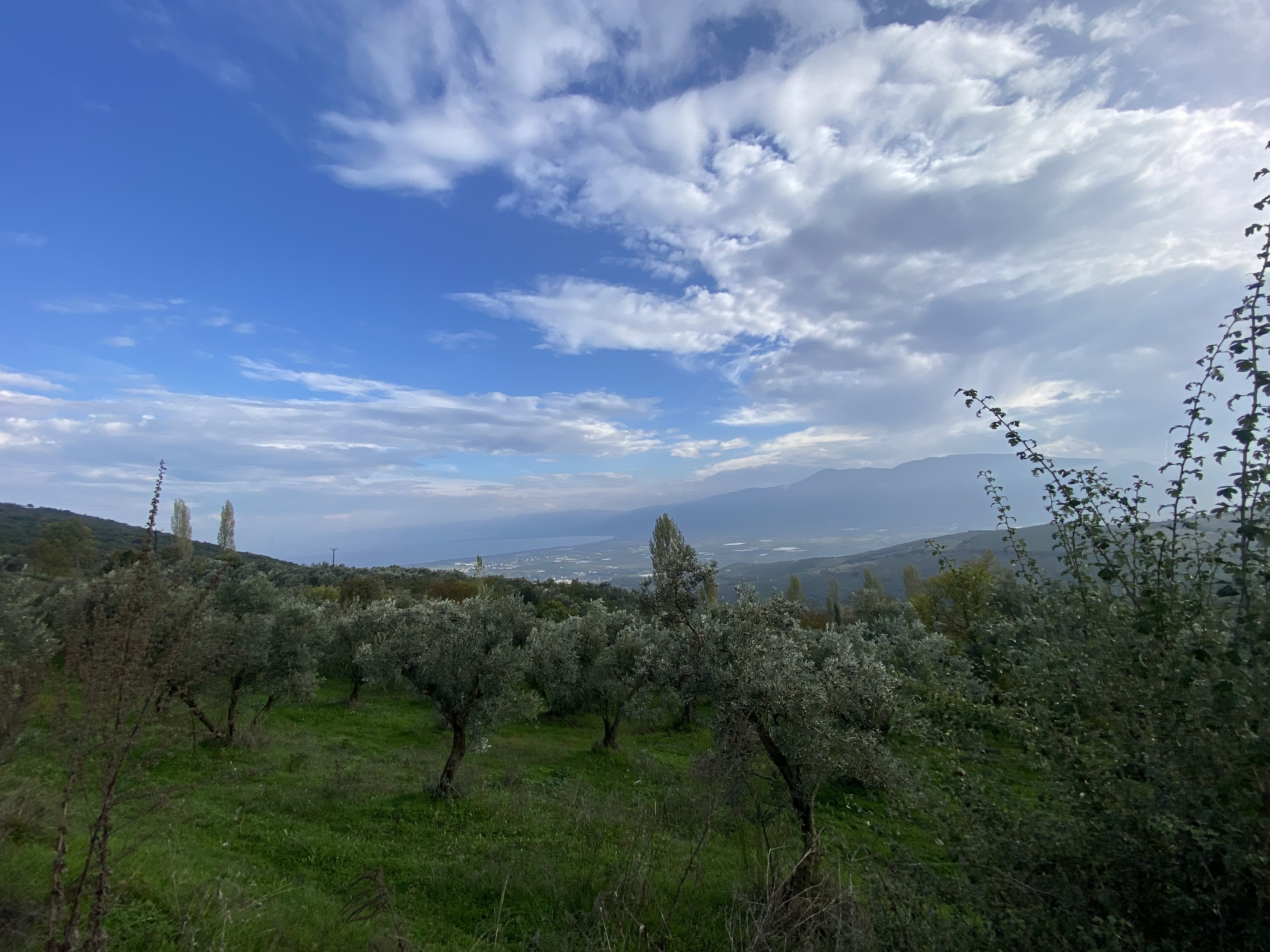 Land / Unzoned for sale in Bursa, Fındıklı, Bursa, 3936 m²