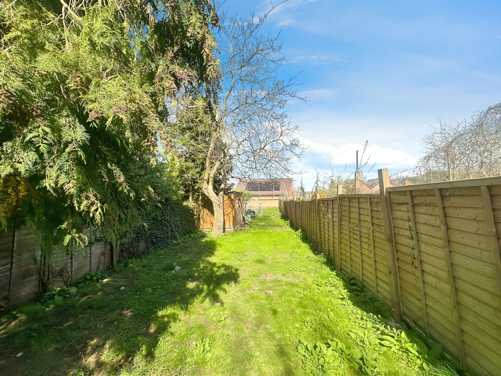 Detached House in London