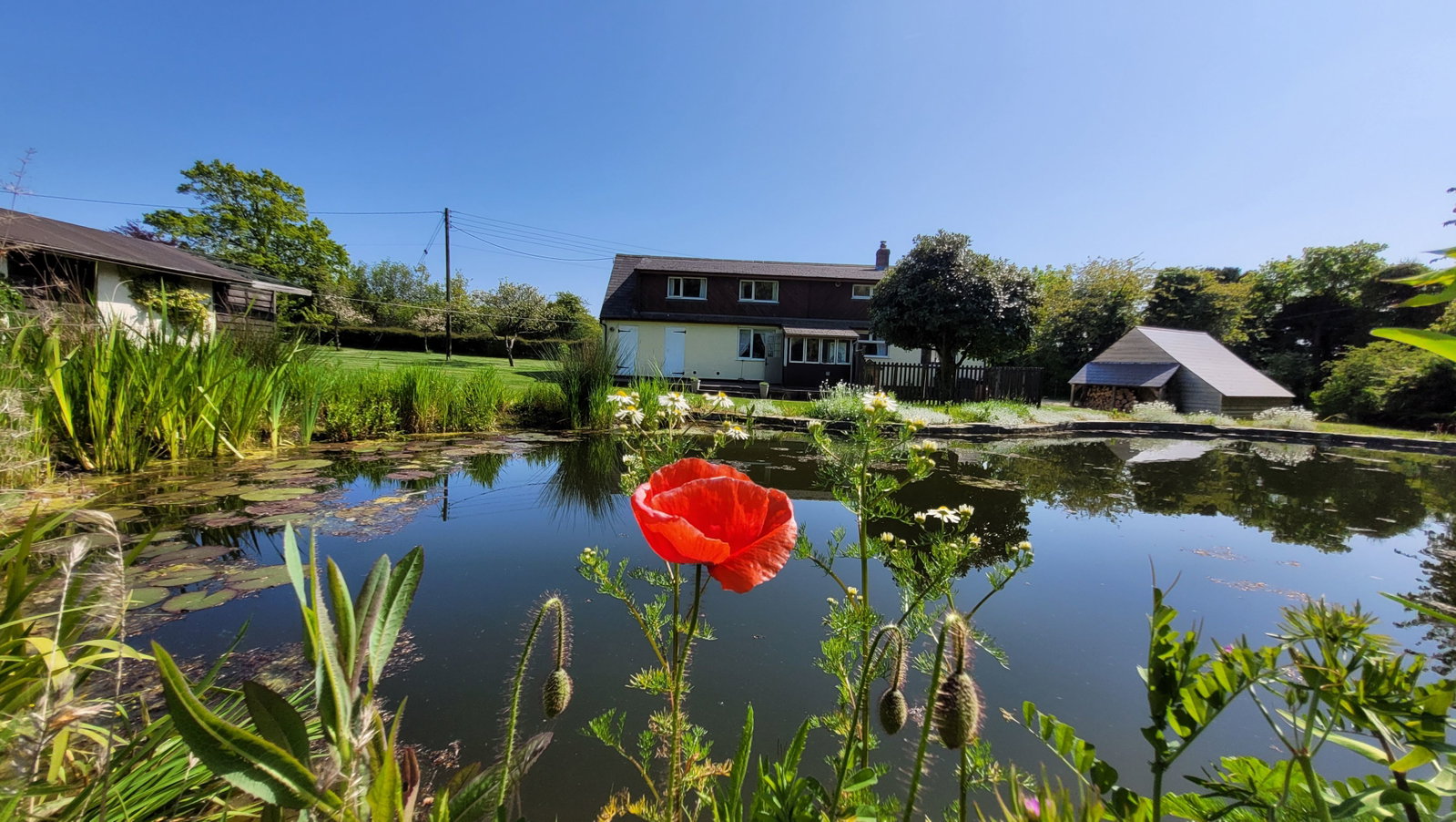 Detached House in Shepherdswell