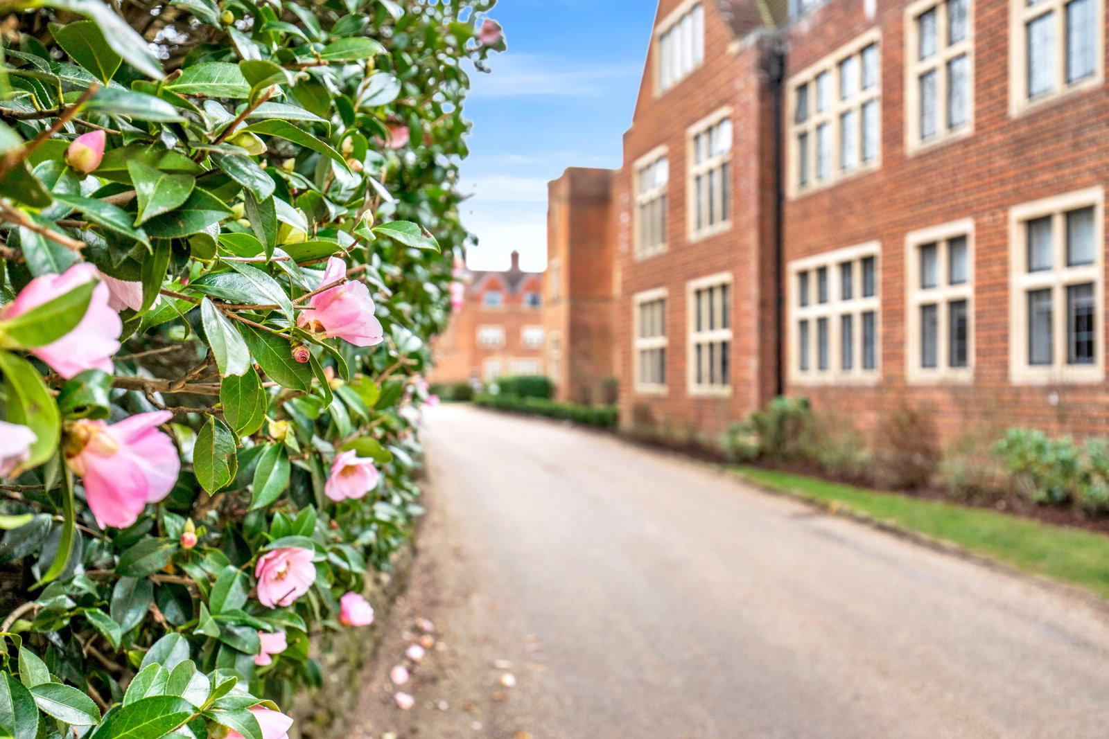 Apartment in Midhurst