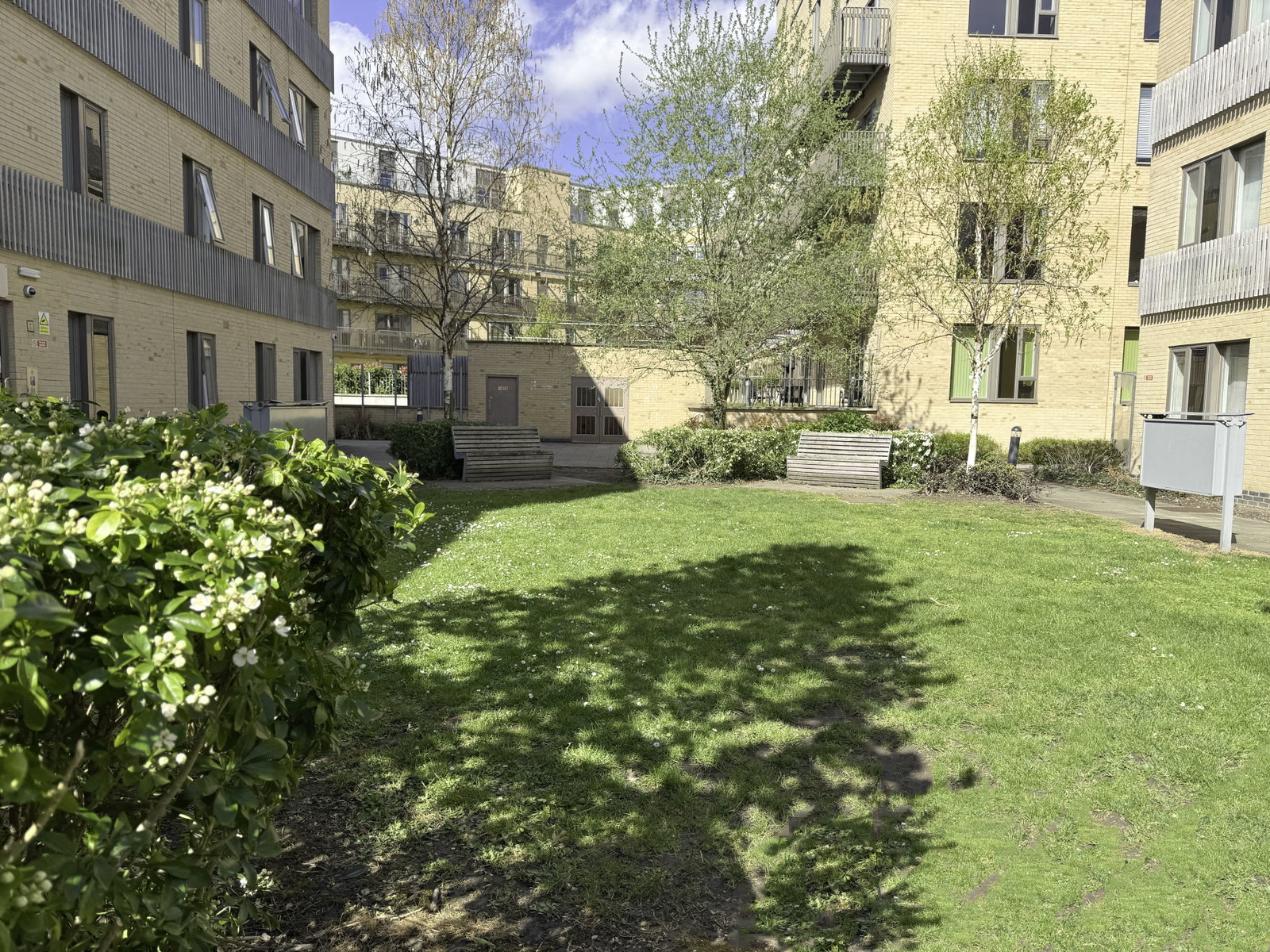 Apartment in Cambridge