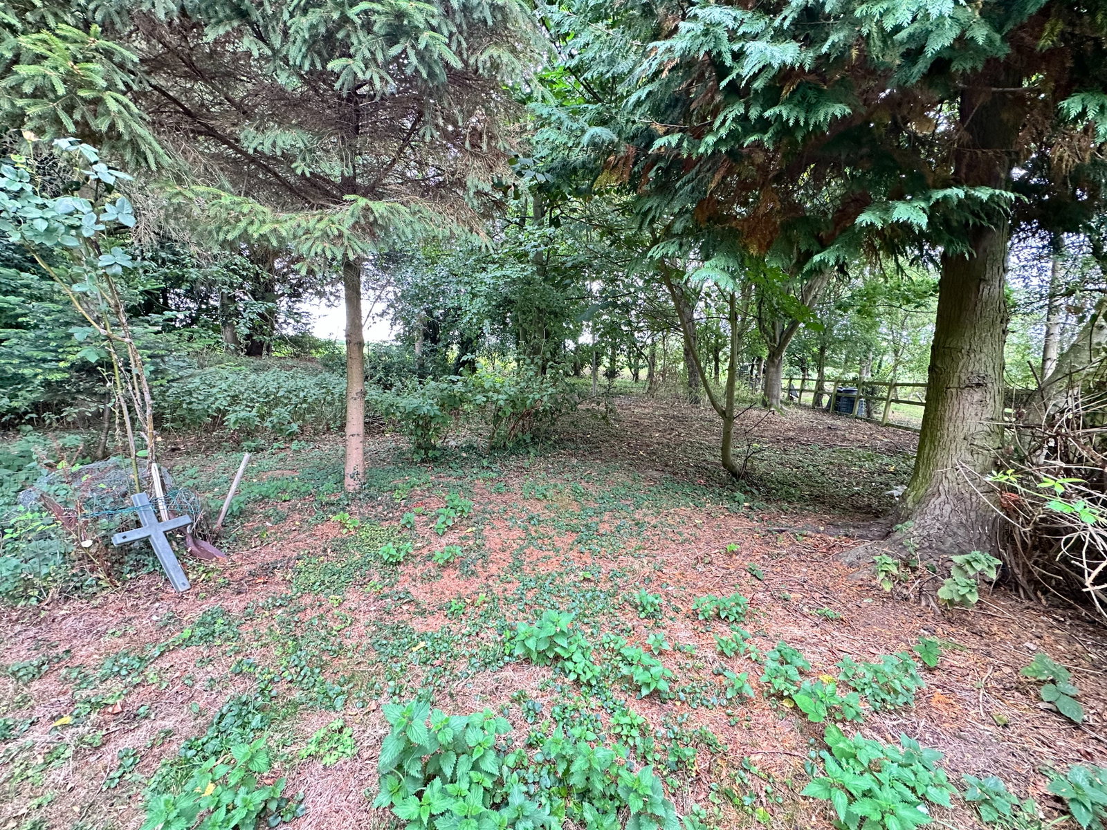 Bungalow in Halstead