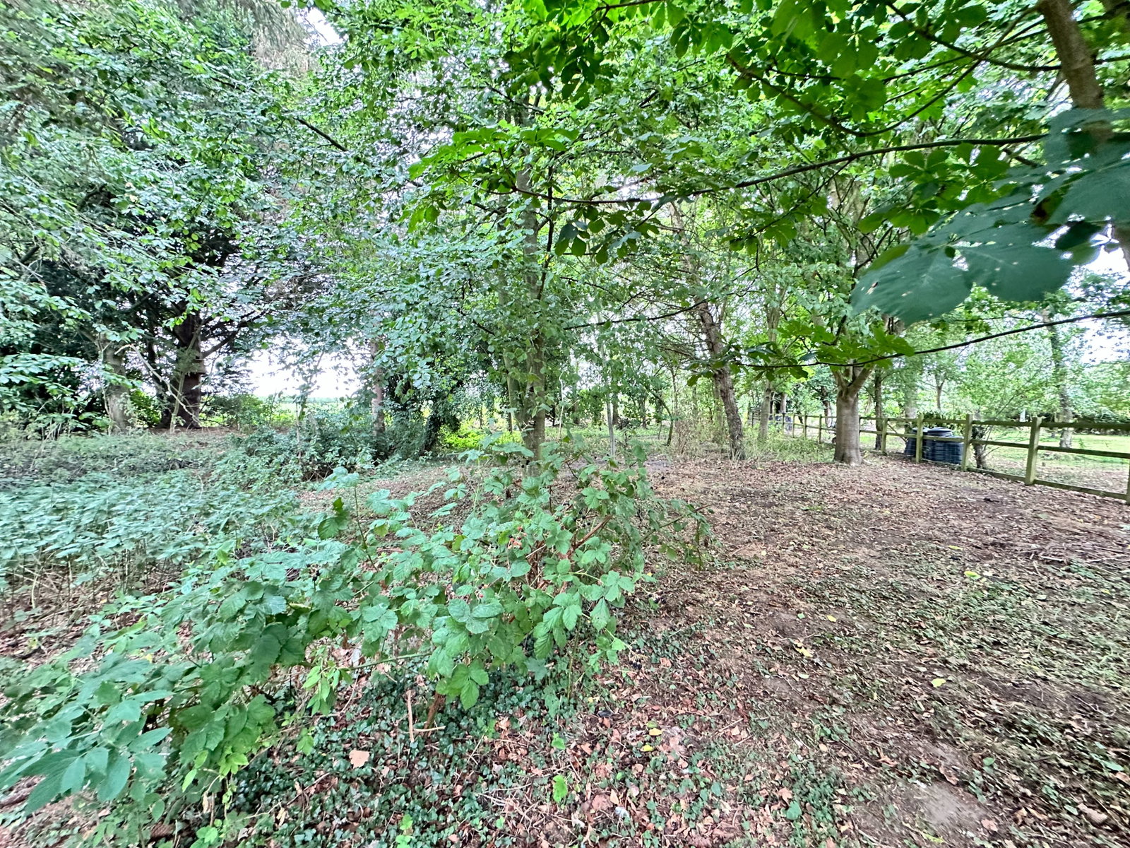Bungalow in Halstead
