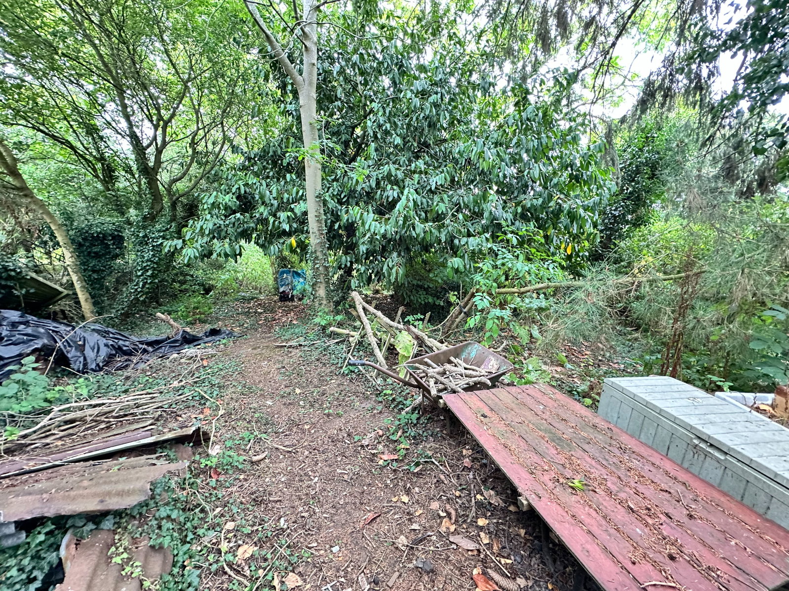 Bungalow in Halstead