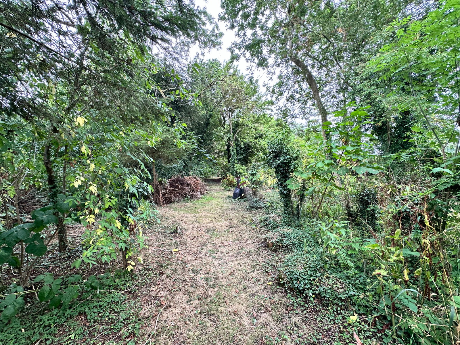 Bungalow in Halstead